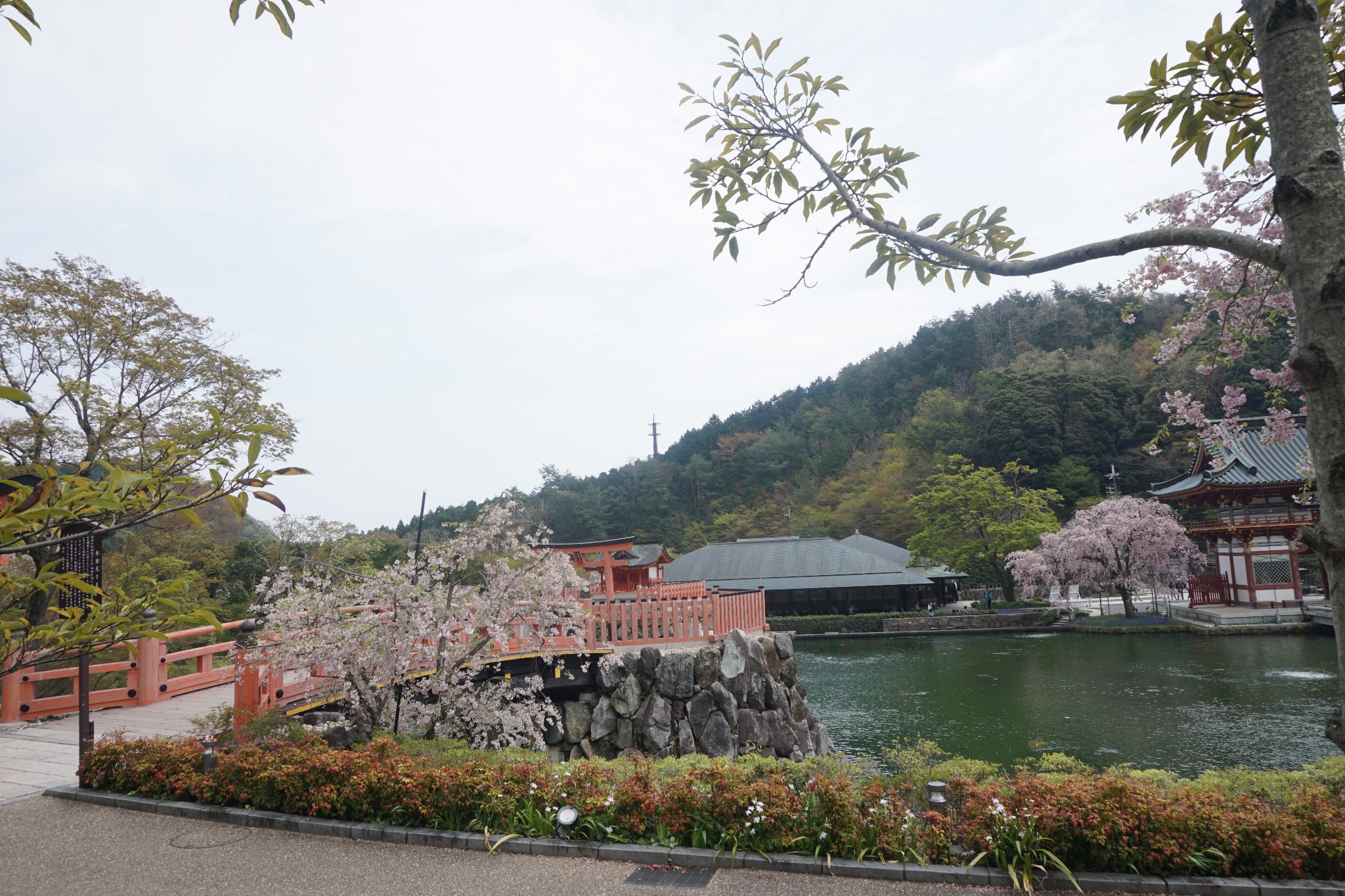 京都自助遊攻略