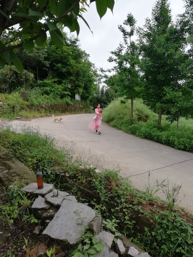 崇州旅遊攻略成都周邊遊山鳳棲山