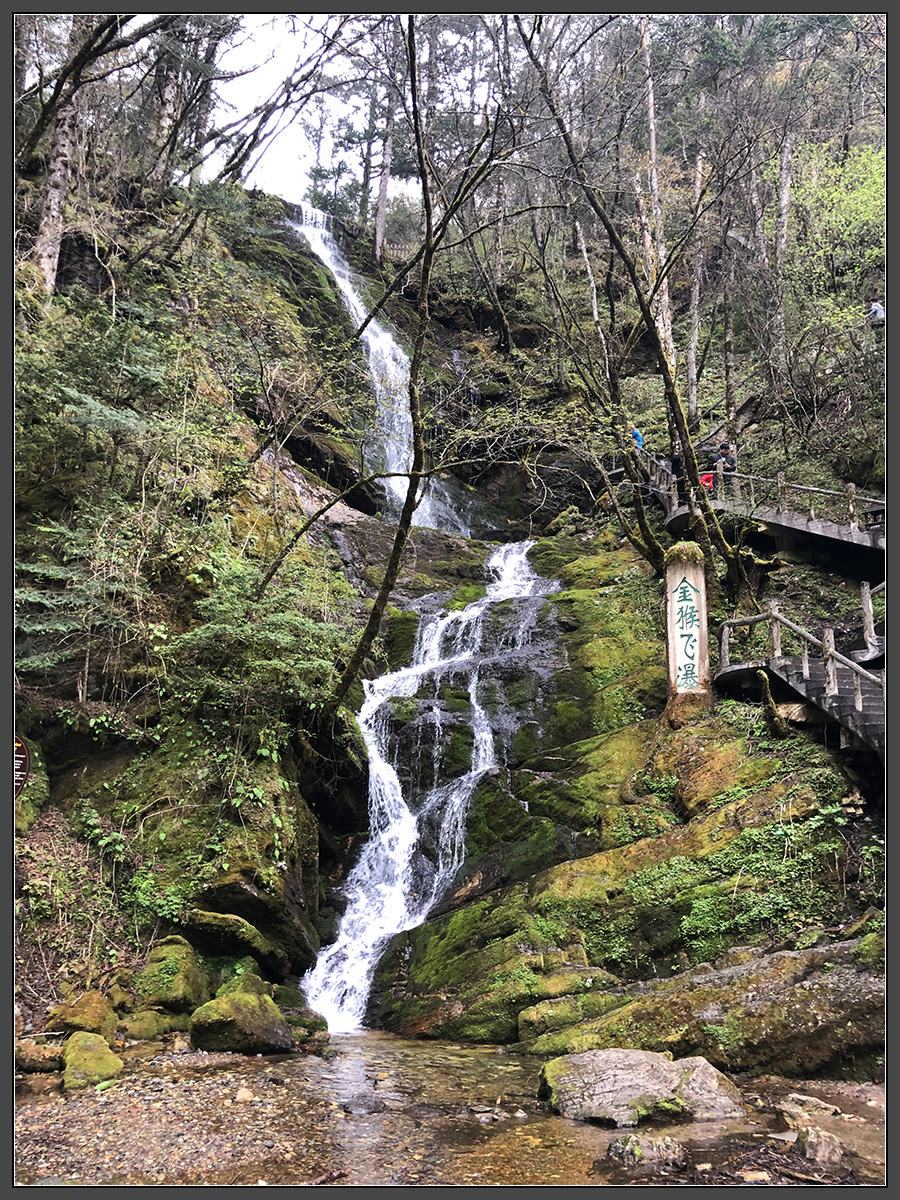 徒步華中屋脊湖北神農架無人區,神農架旅遊攻略 - 馬蜂窩