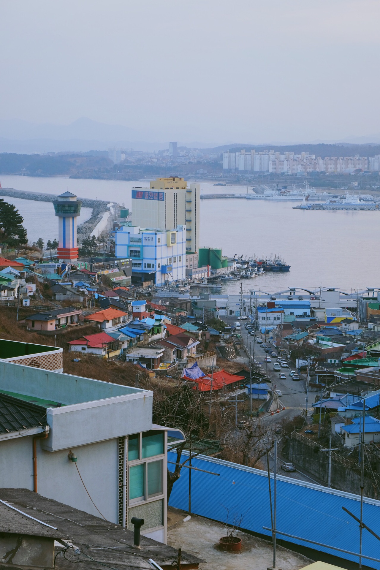 江陵·釜山六日散步,韩国自助游攻略 - 马蜂窝