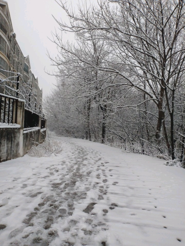 【舞钢景点图片】鑫源广场