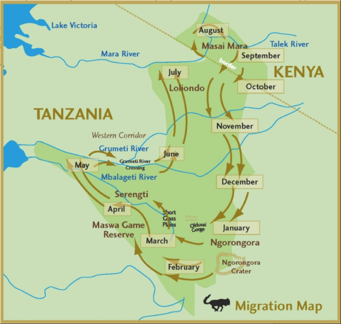 坦桑尼亞自助遊攻略