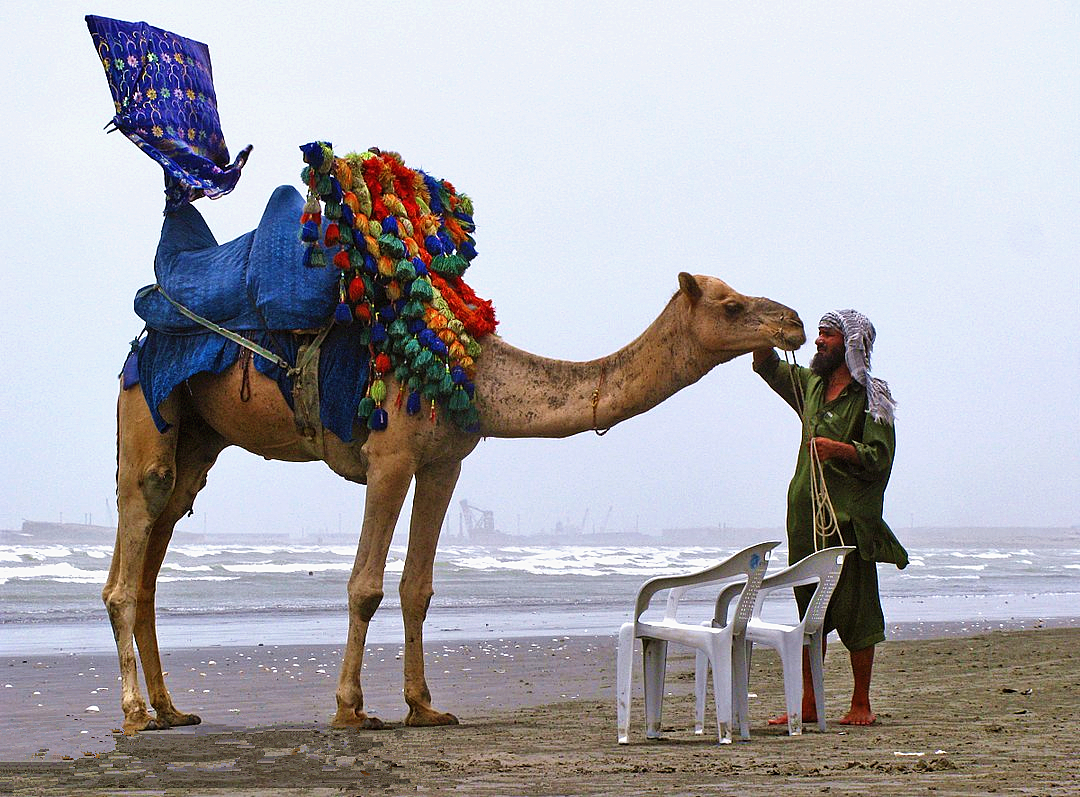 非常受欢迎的卡拉奇海滩,提供了大量的海滨娱乐机会,如骑马和骑骆驼