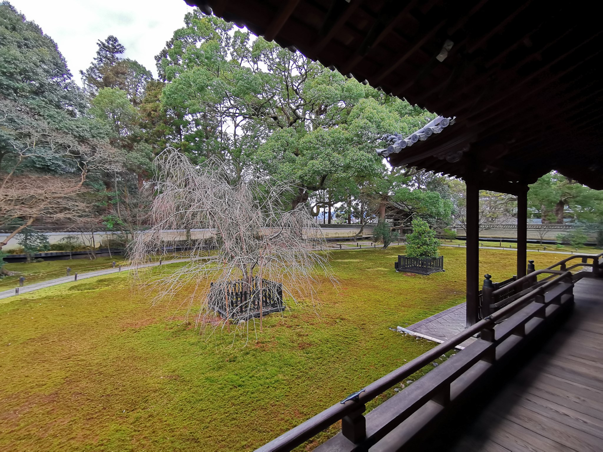 京都自助遊攻略