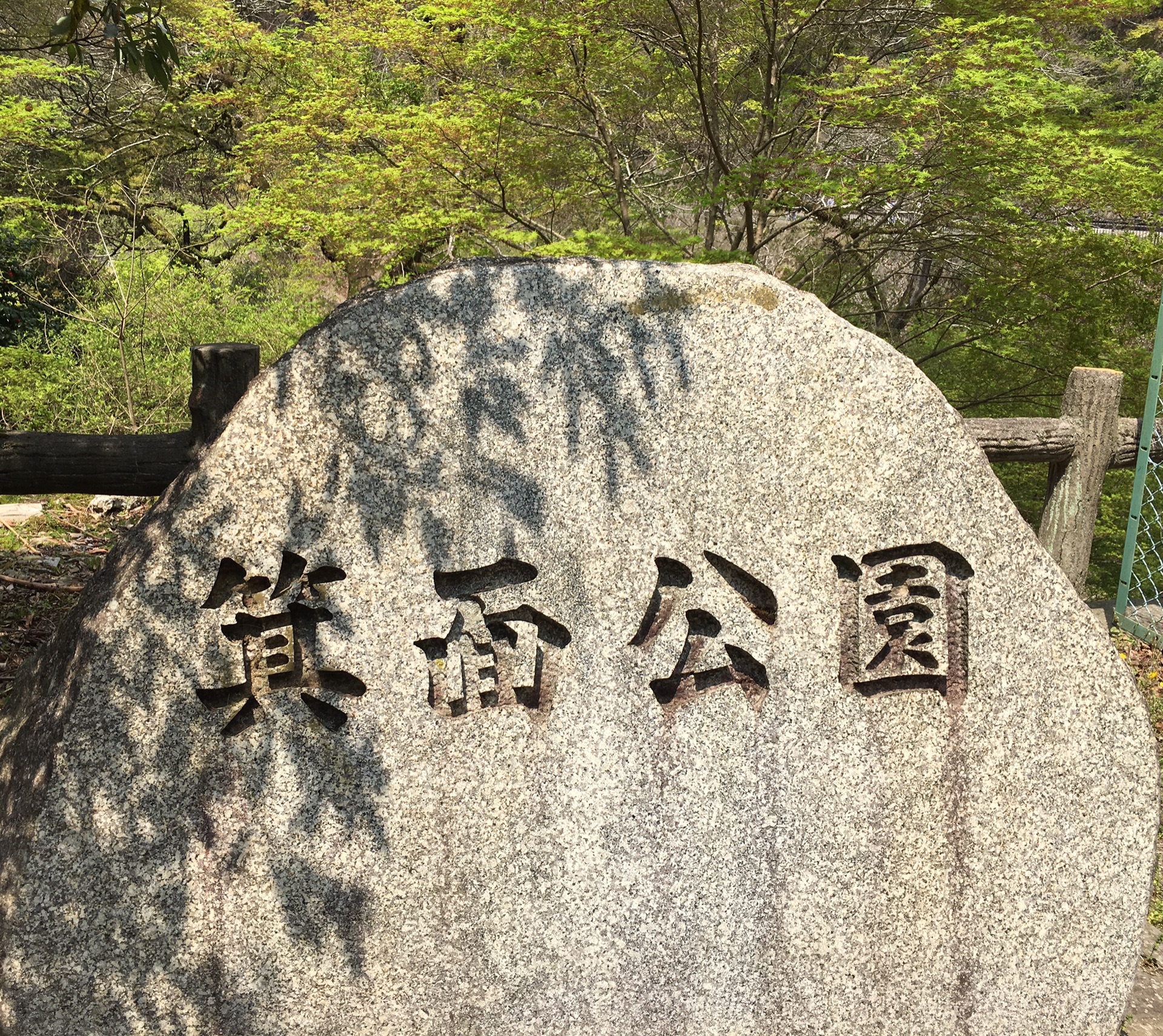 【箕面公园】春の阳気_游记