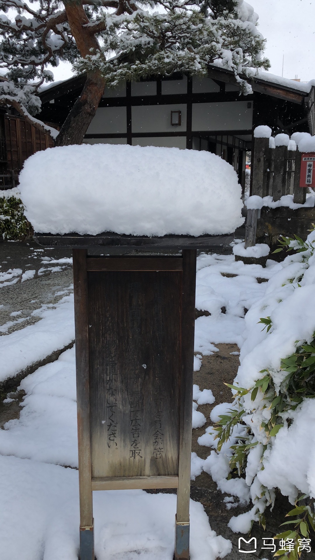 日本升龙道之旅9天