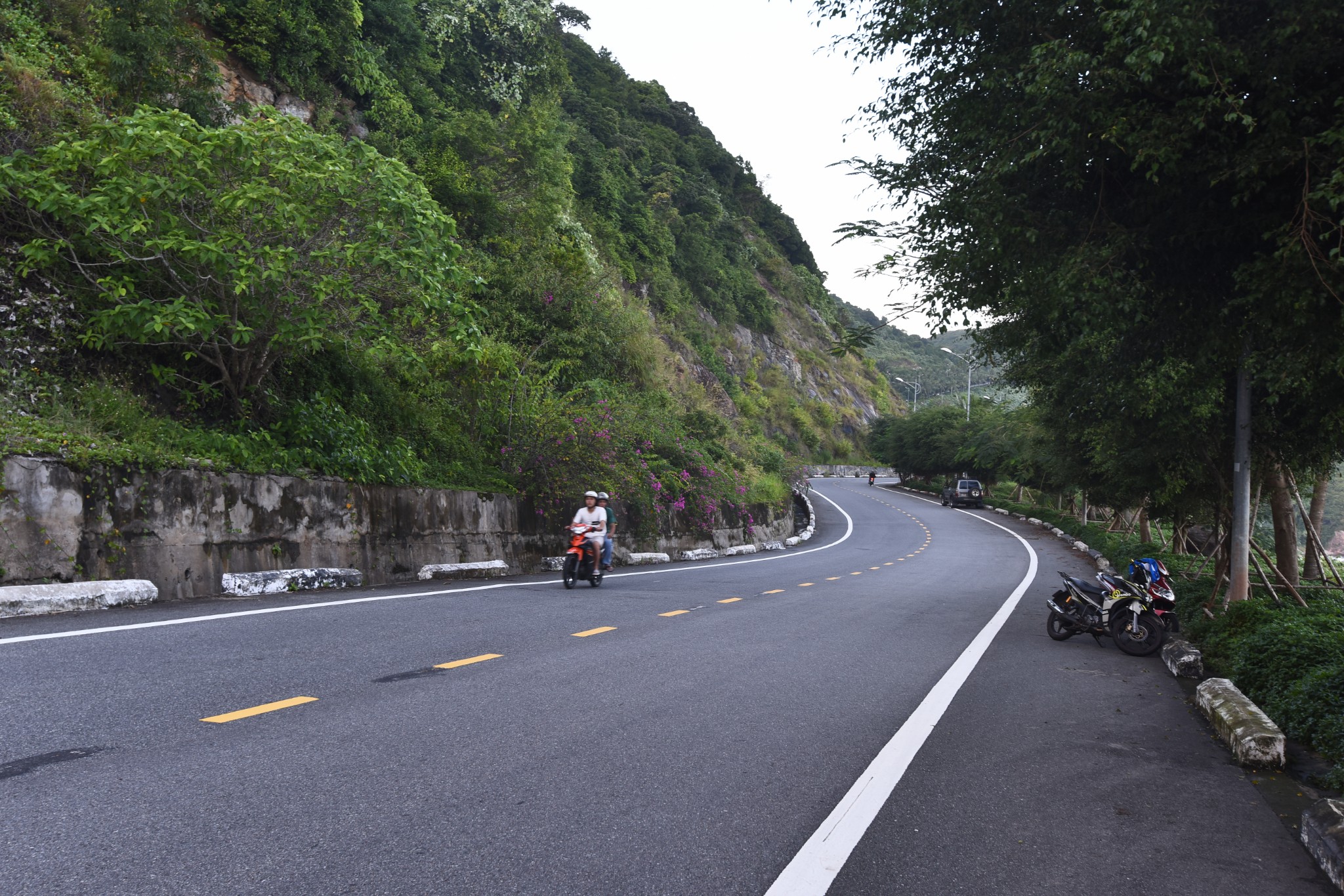 峴港自助遊攻略