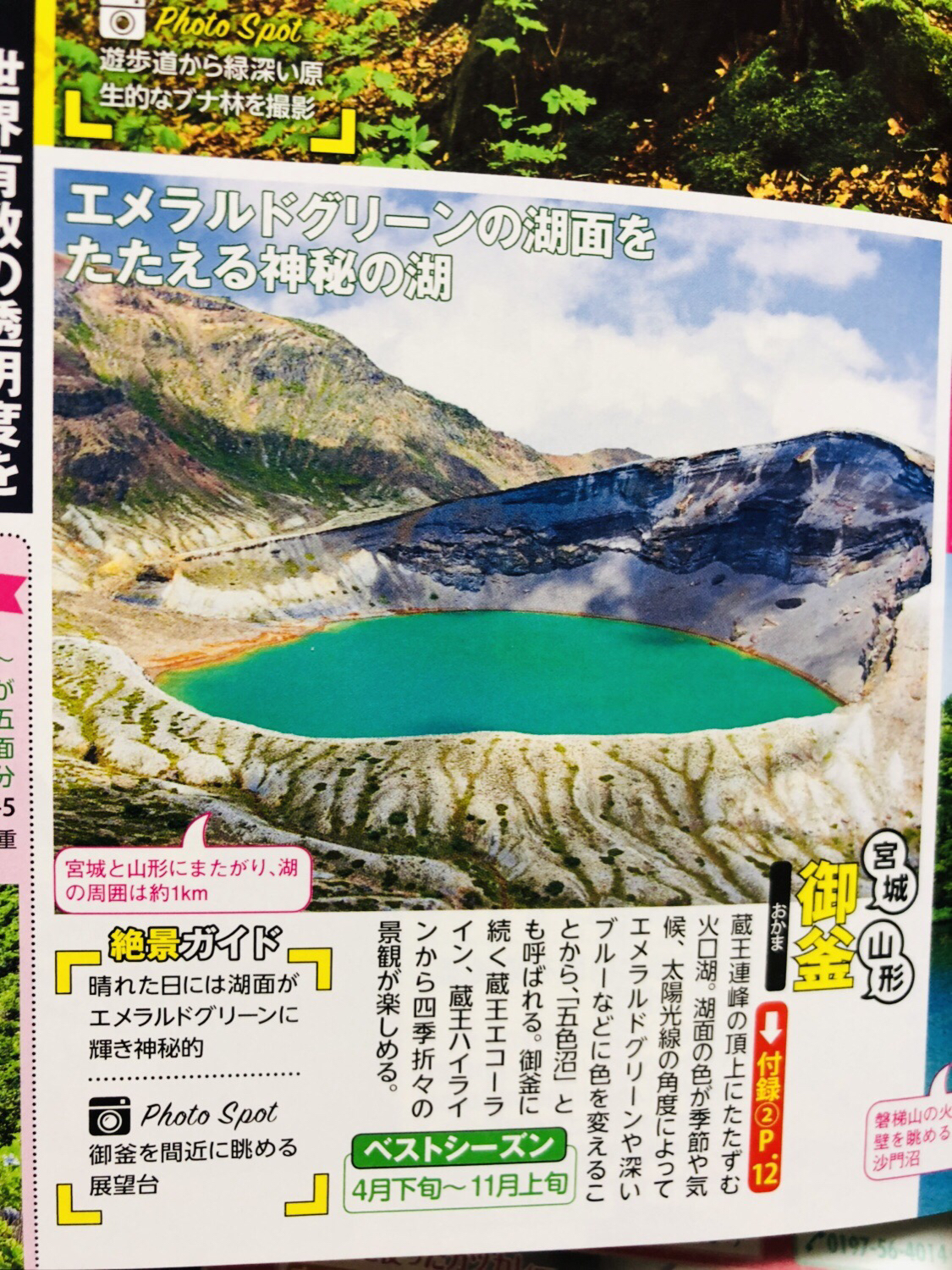 4月份去了日本山形藏王能滑雪吗 还有坐缆车还能看到冰树吗 马蜂窝问答