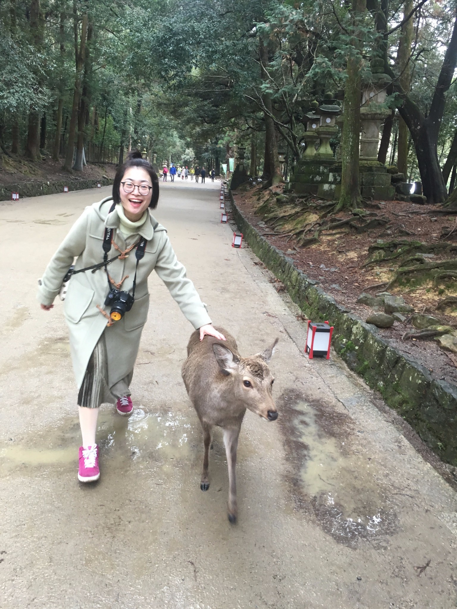 京都自助遊攻略