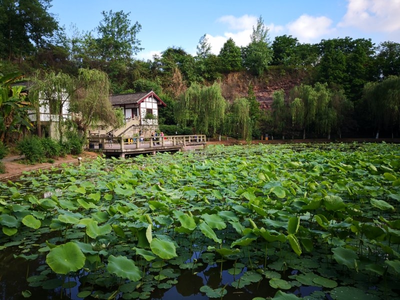 內江旅遊圖片,內江自助遊圖片,內江旅遊景點照片 - 馬蜂窩圖庫 - 馬