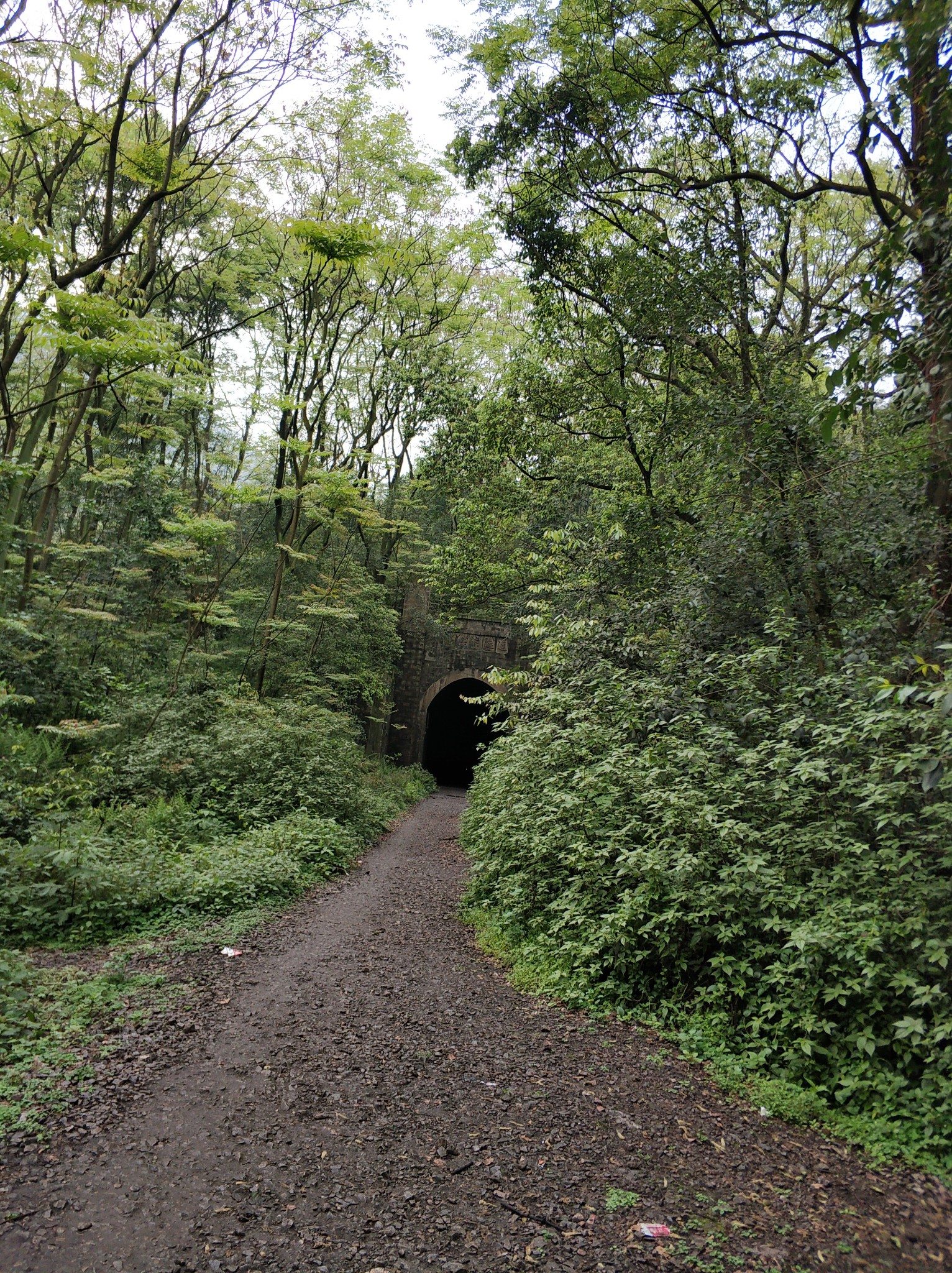 8分钟,从杨家山公交站坐上了回市区的公交车,参观了一路重庆城市风光