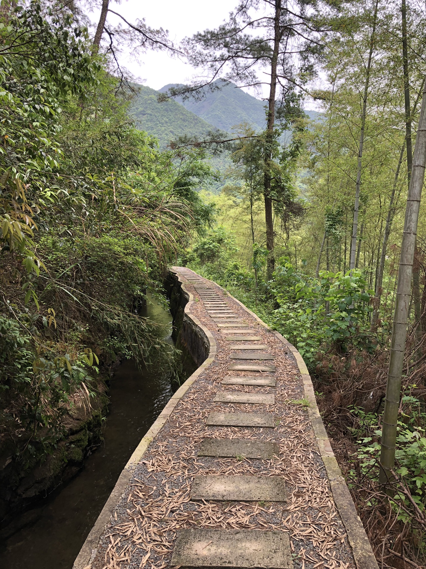 2022桐庐旅游攻略,桐庐自由行攻略,马蜂窝桐庐出游攻略游记 - 马蜂窝