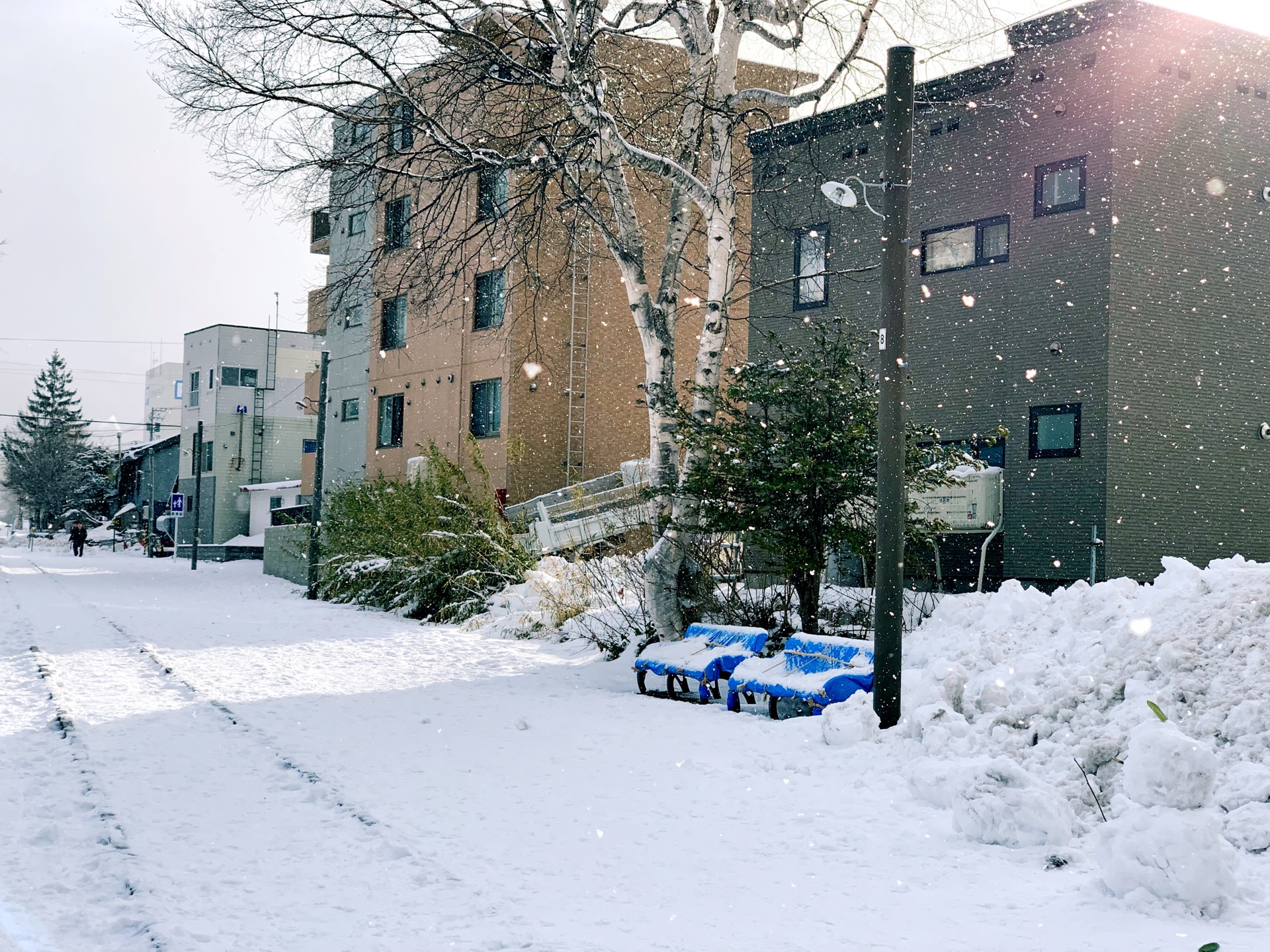 北海道自助遊攻略