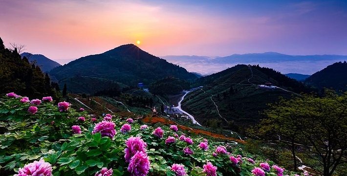 重庆华夏牡丹园