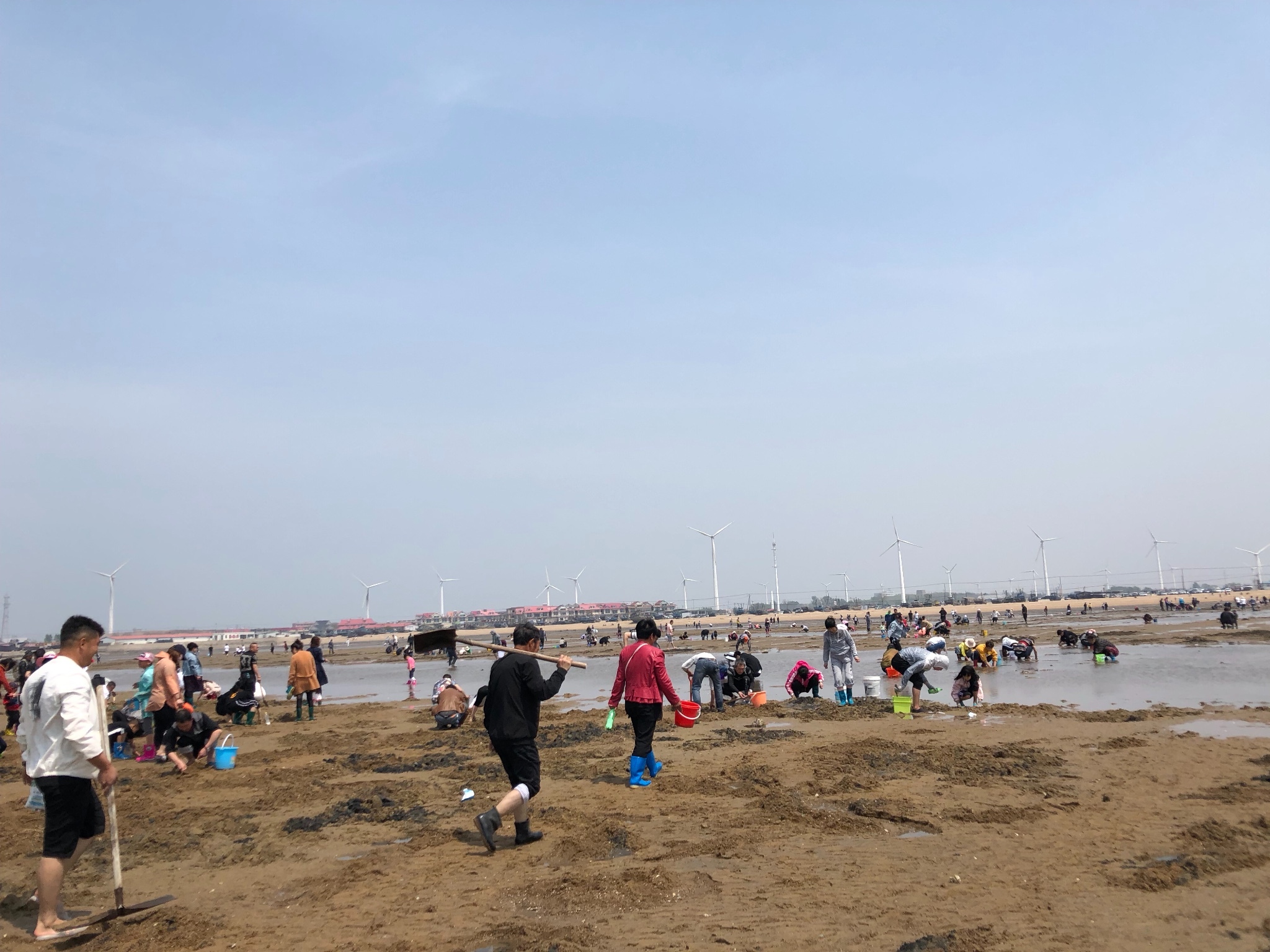 五一营口仙人岛赶海之行_游记