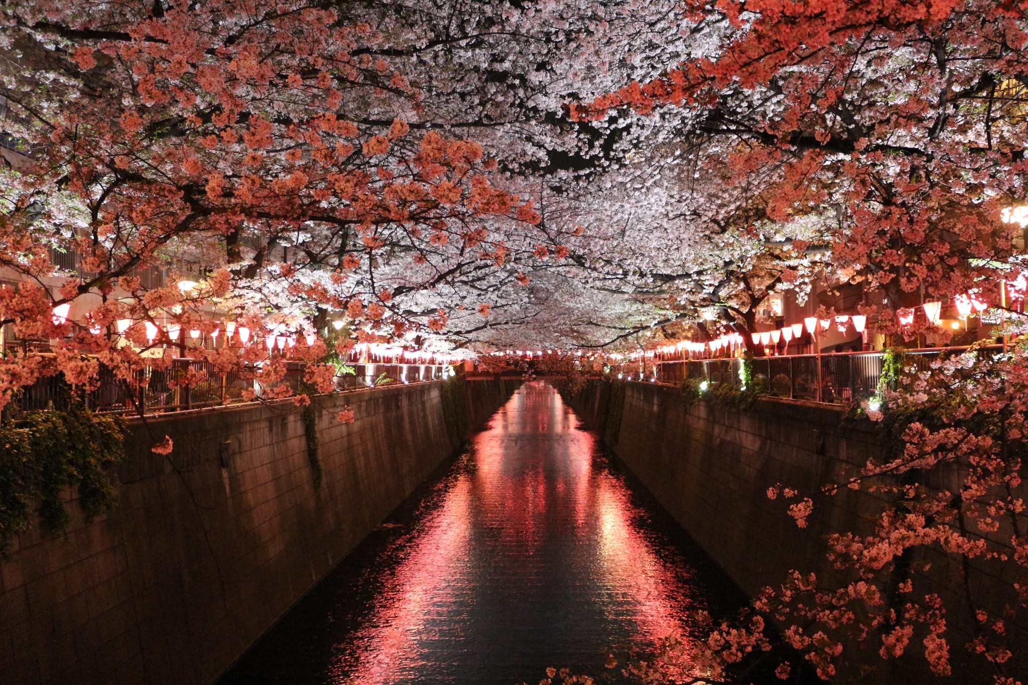 東京自助遊攻略