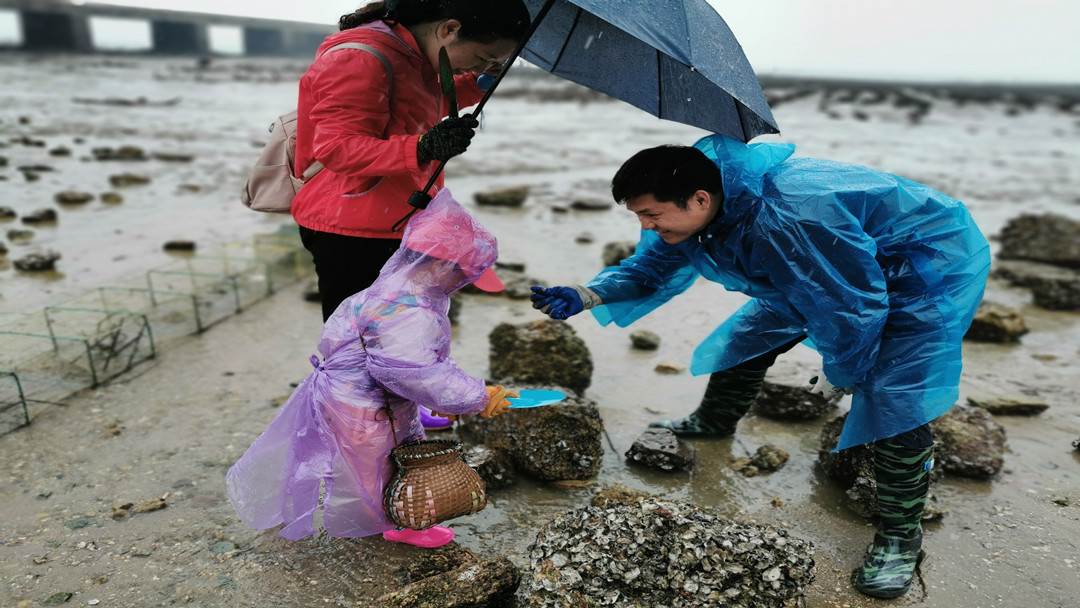 小嶝趕海體驗 廈門大嶝島 小嶝島 漁民體驗抓蟹挖海蠣 看金門一日遊(