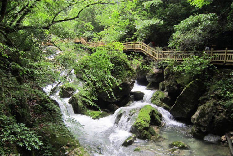 48北京西站z3硬卧06:51 1天宜昌第7天宜昌-北京19:15宜昌t50硬卧14:00