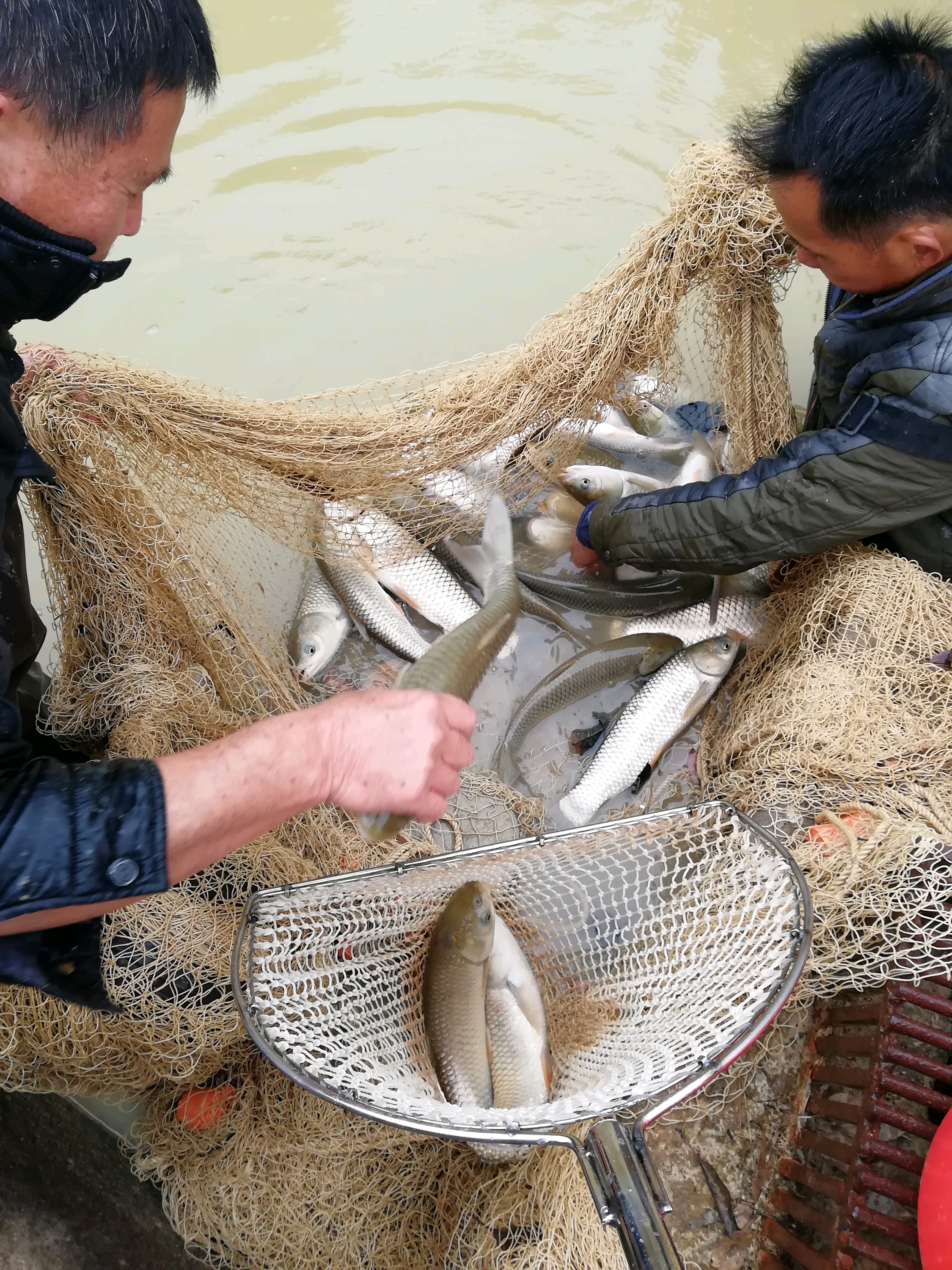 龙川美食-湖滨酒楼