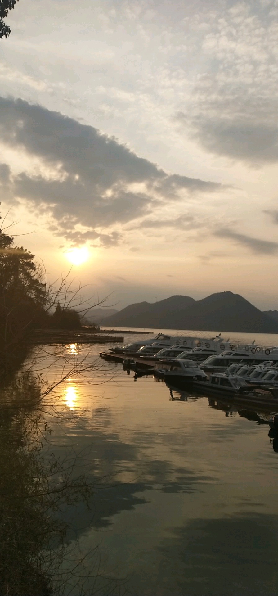 太平湖竹棵活鱼土菜馆