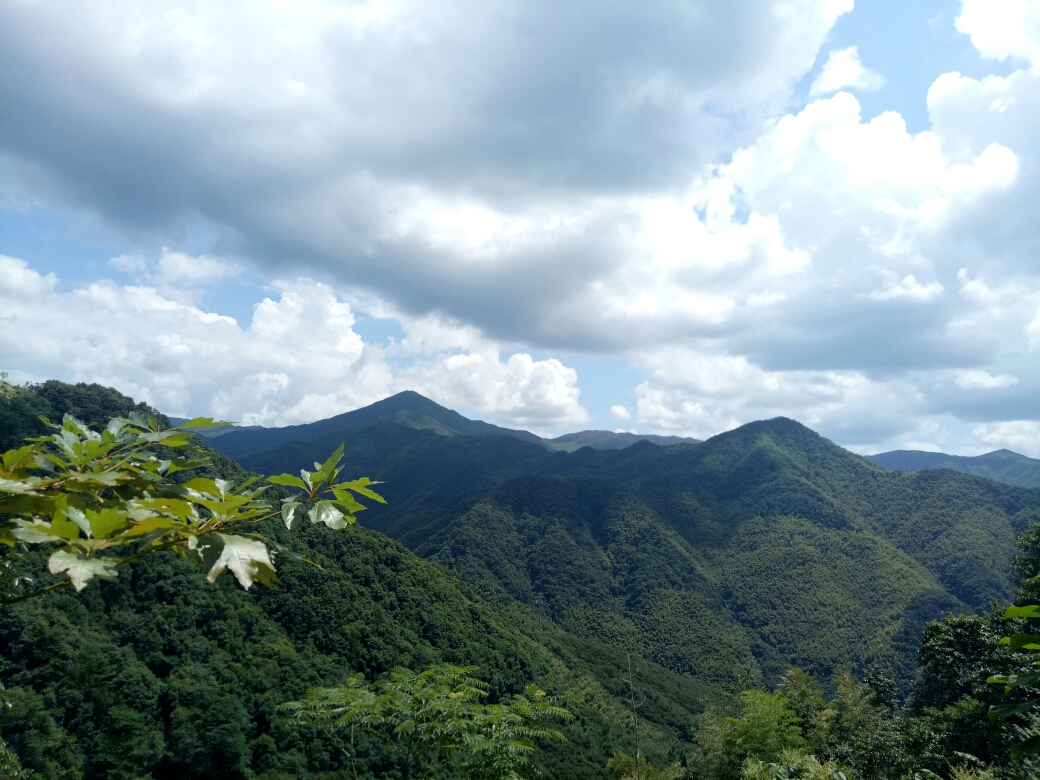 上虞章镇泰山村