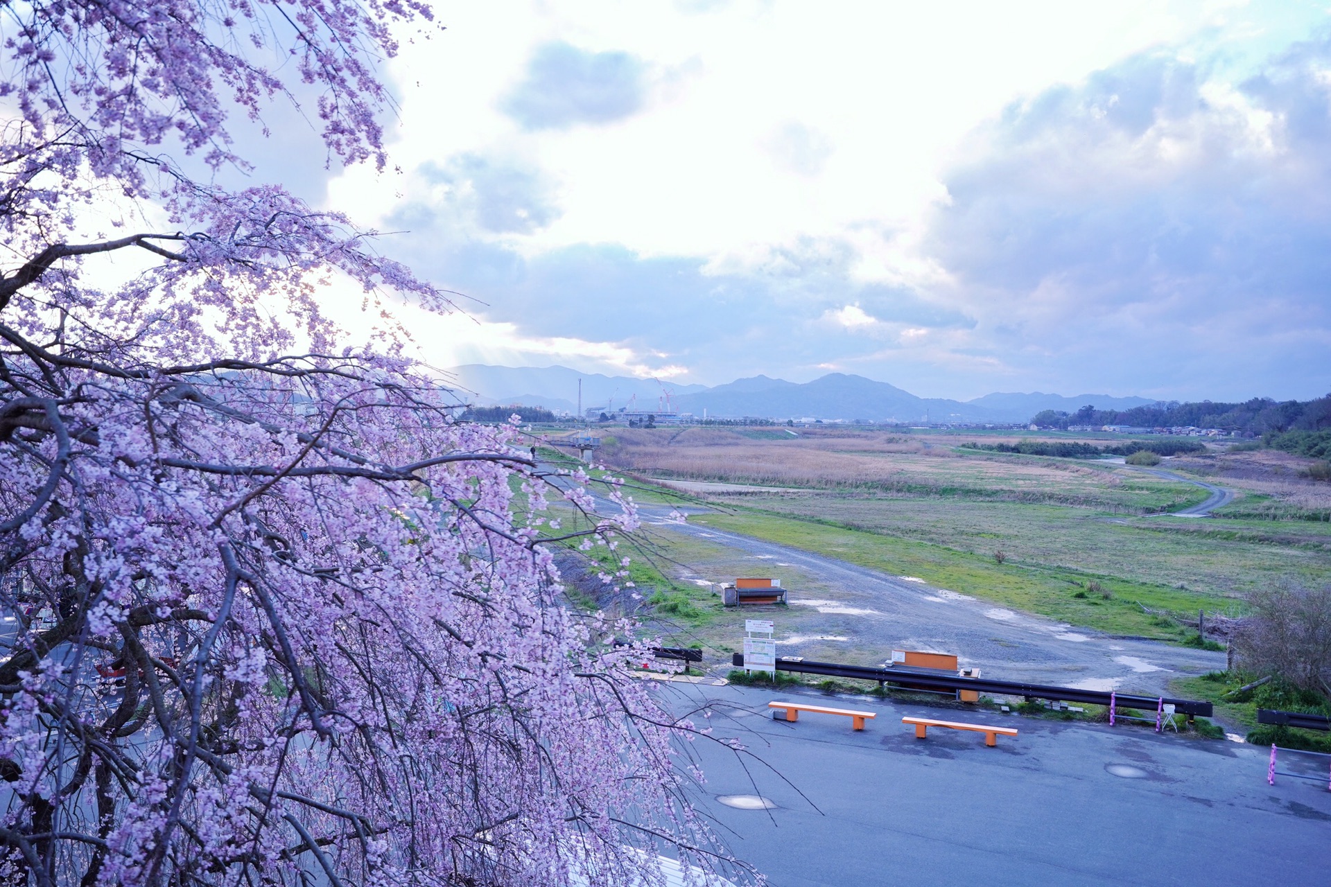 京都自助遊攻略