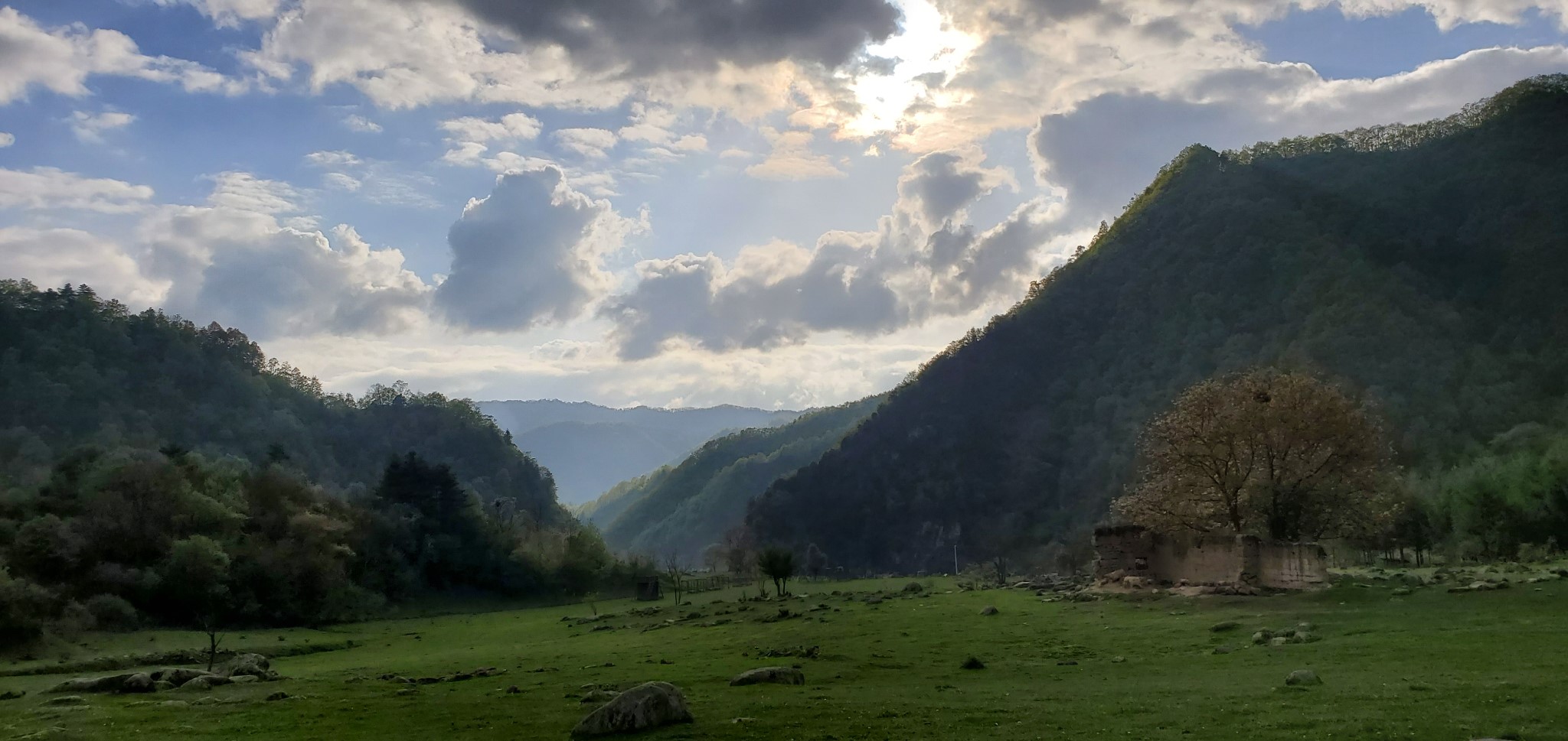 紫柏山（留坝）云雾中看草，五一出游囧事多