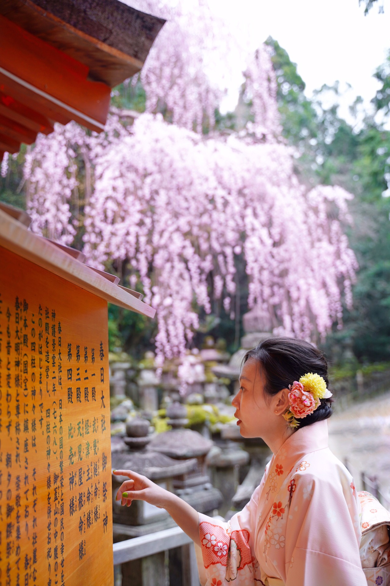 京都自助遊攻略