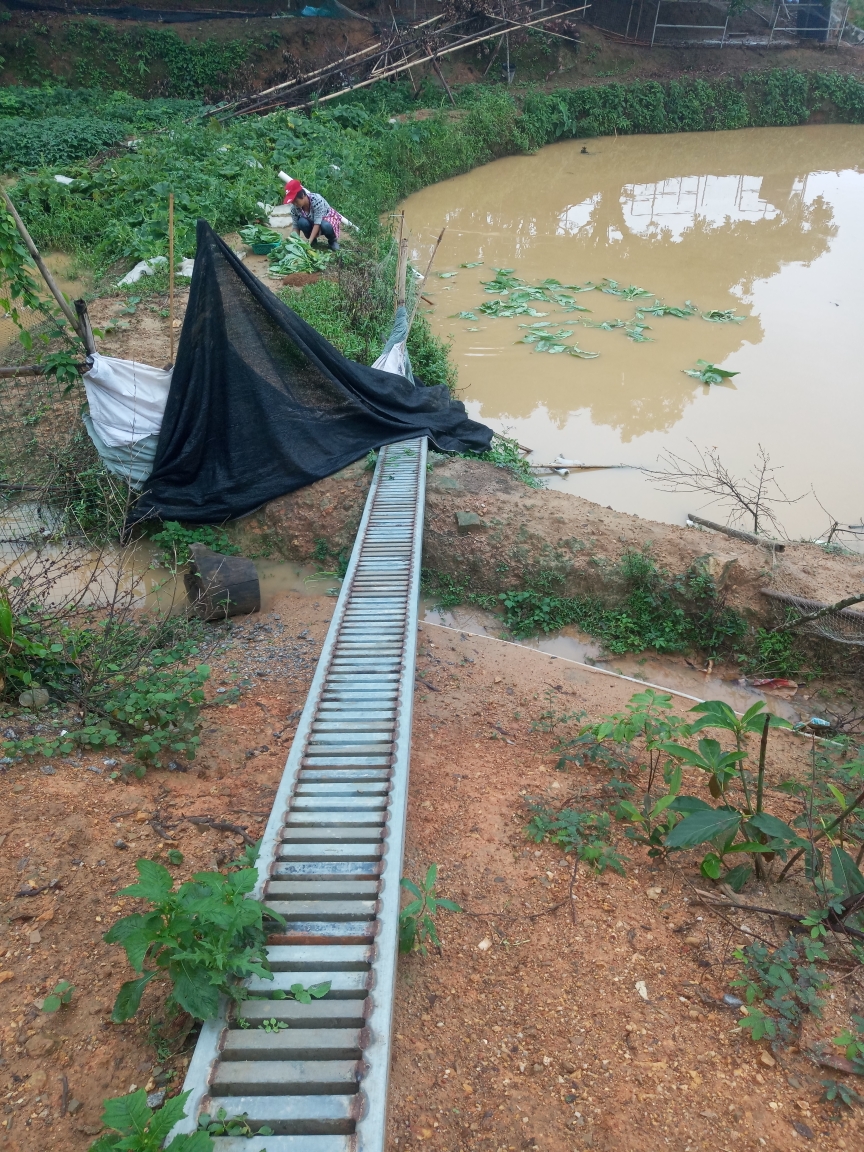 201954早起宝圩巷口榕泉初识那务星谷银湾