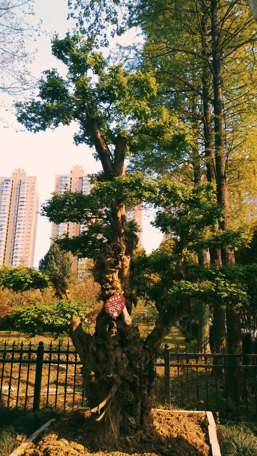 武漢市園林科普公園