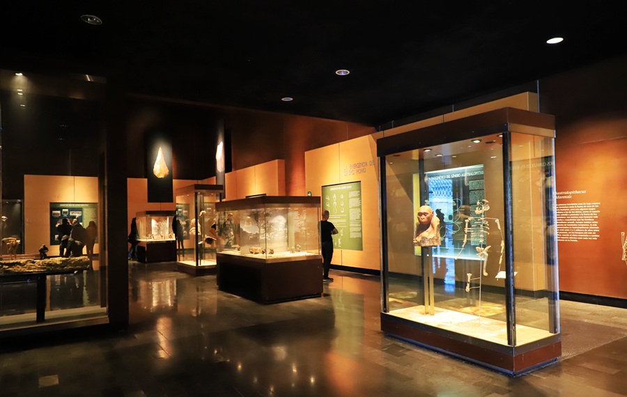 墨西哥国立人类学博物馆