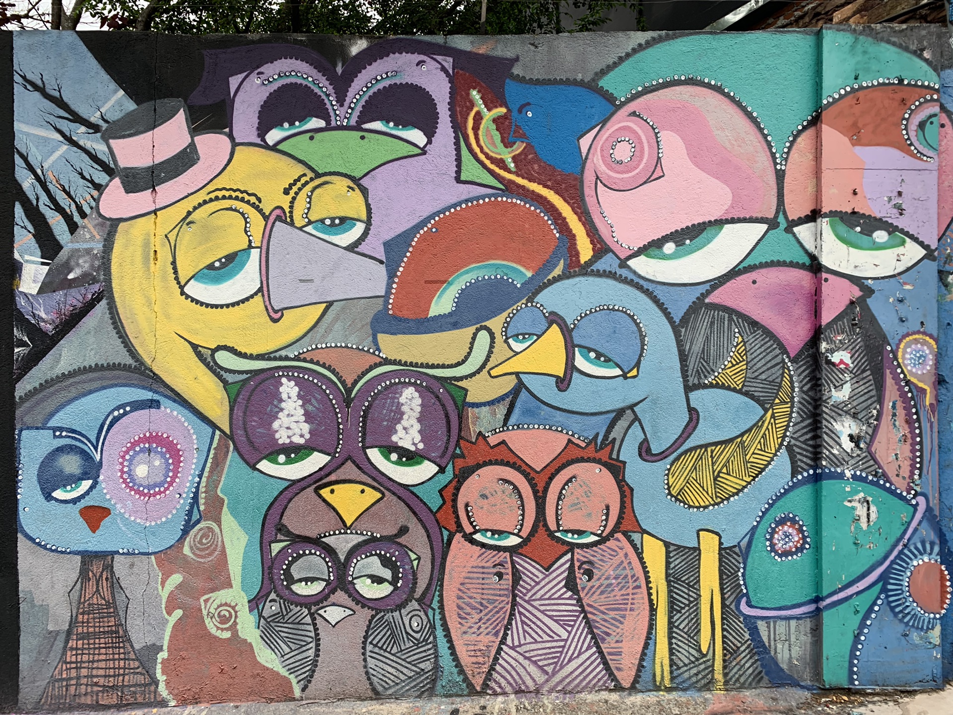 圣保罗巴西2019年秋