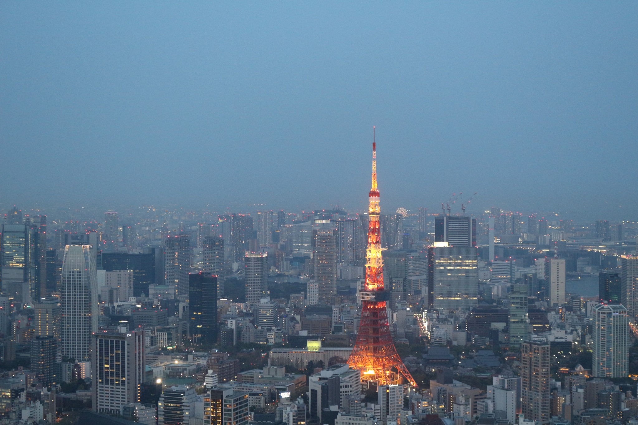 東京自助遊攻略