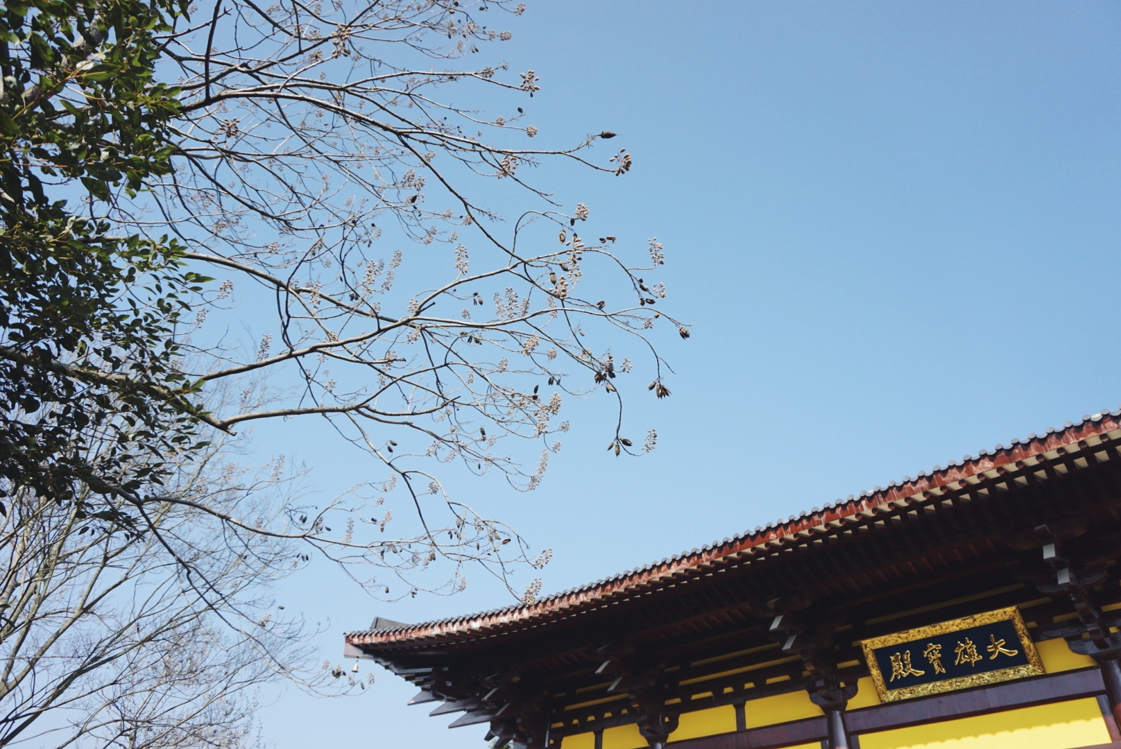 安徽吉祥寺禅修之行｜施主，阿弥陀佛