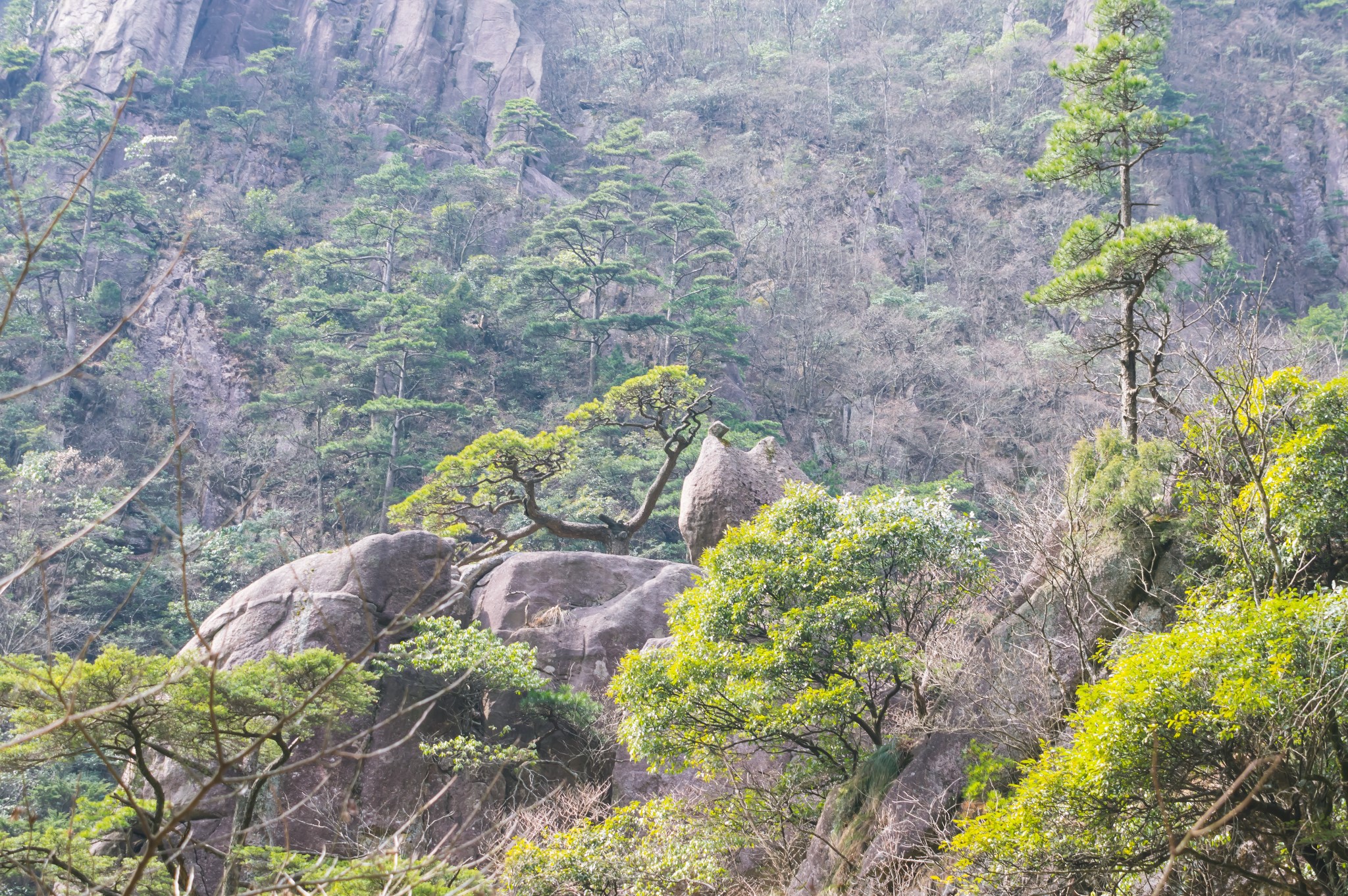 黃山自助遊攻略