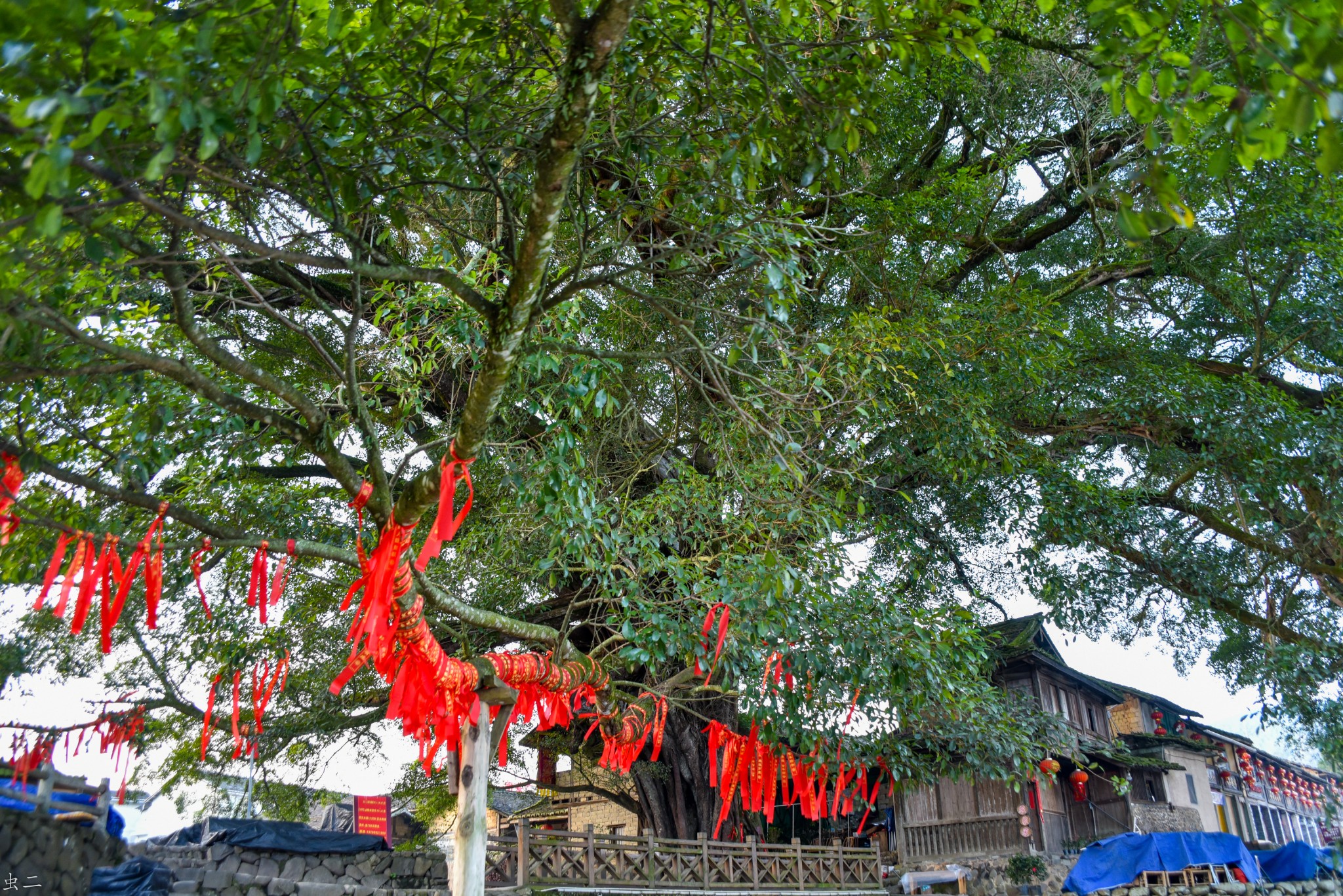 南靖雲水謠古鎮1德鳳樓太保廟集福寺