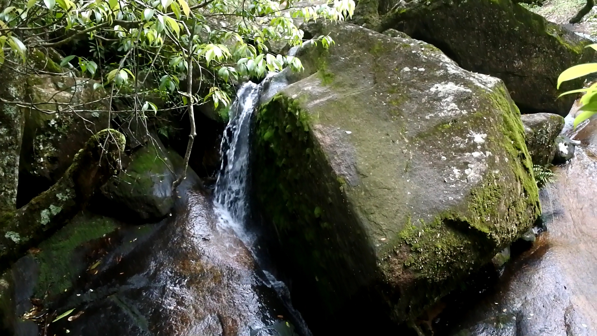 十八寨,武夷山旅游攻略 马蜂窝