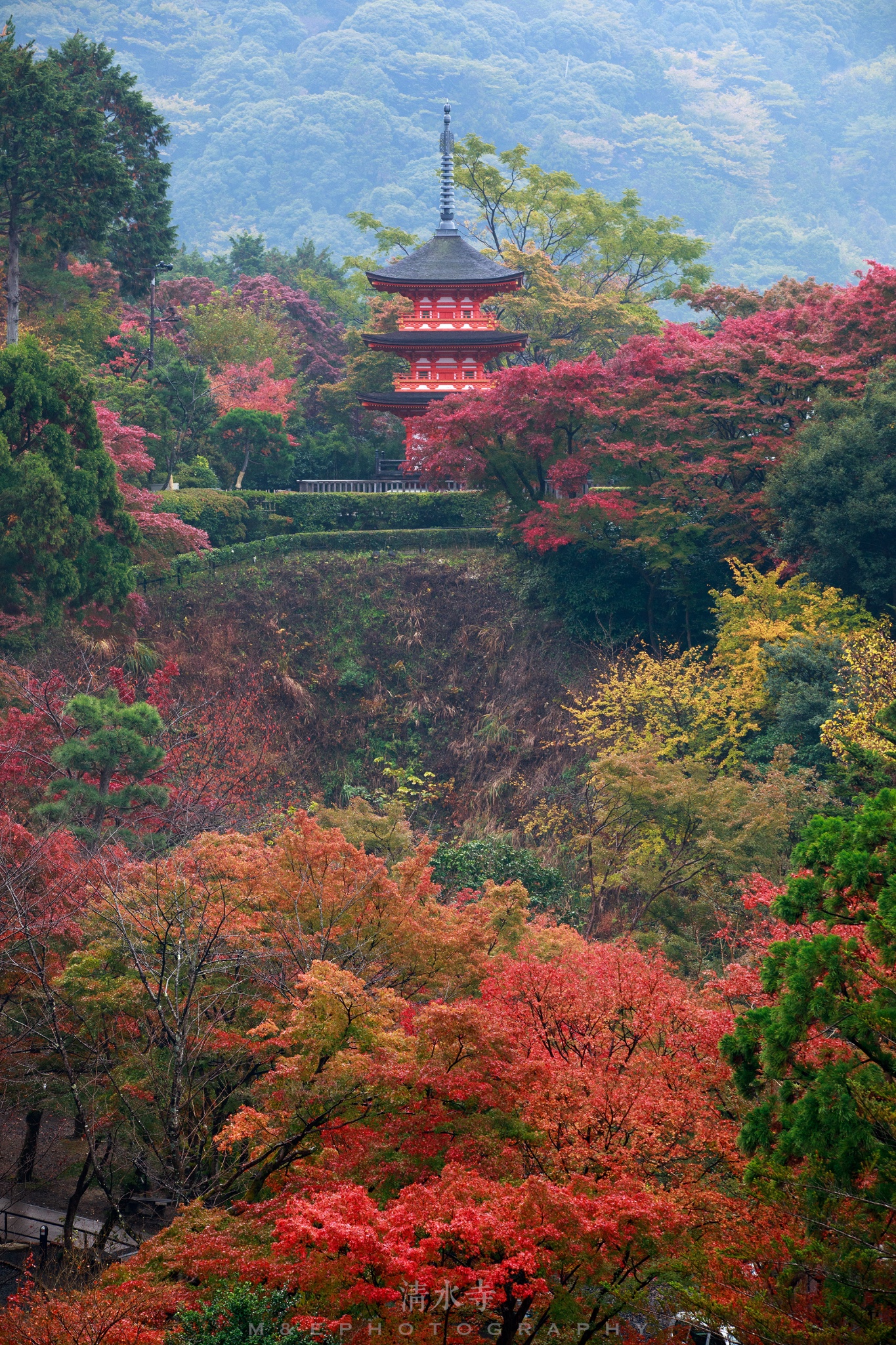 京都自助遊攻略