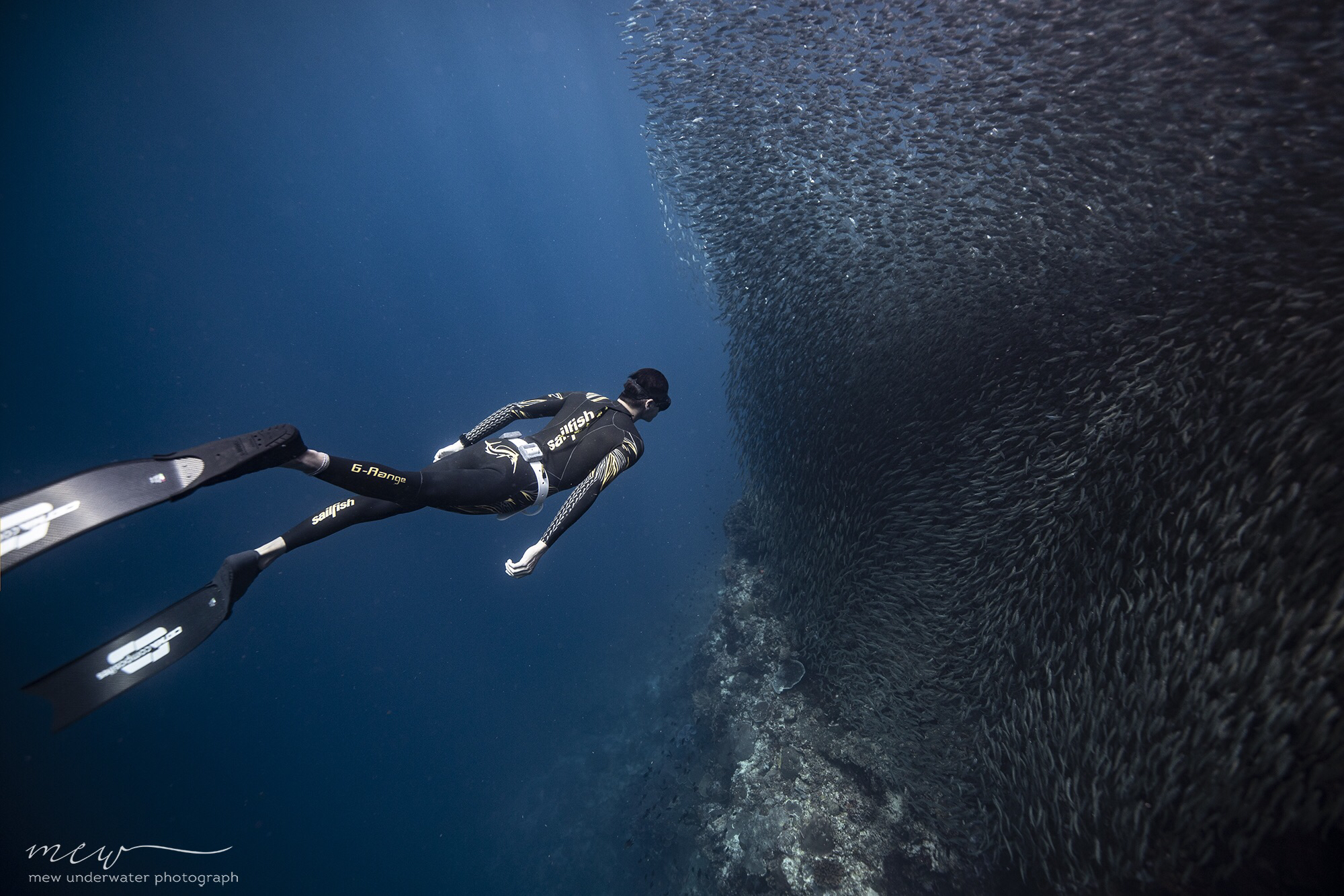 Frontier Tech Divers