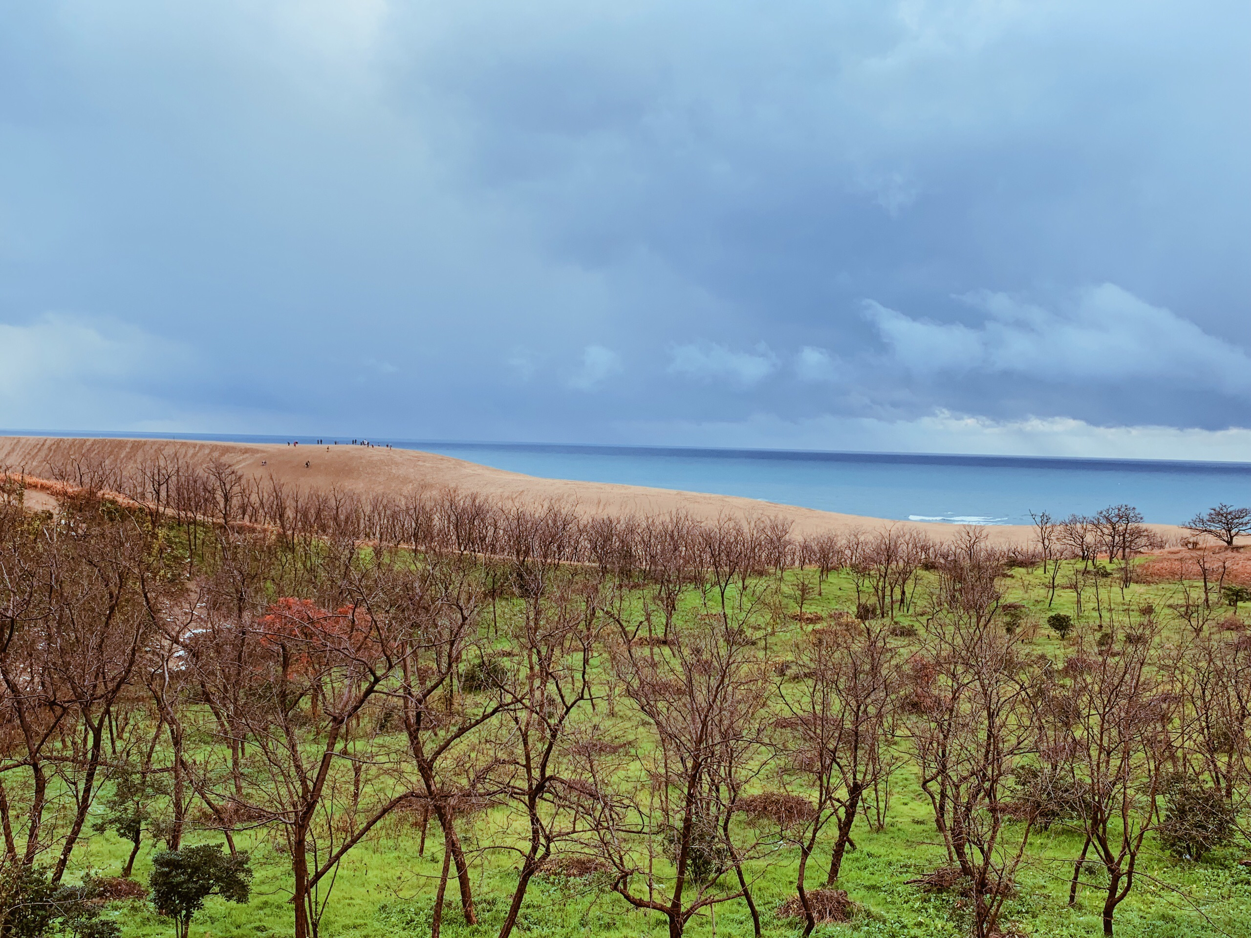 山阴海岸国立公园 鸟取砂丘