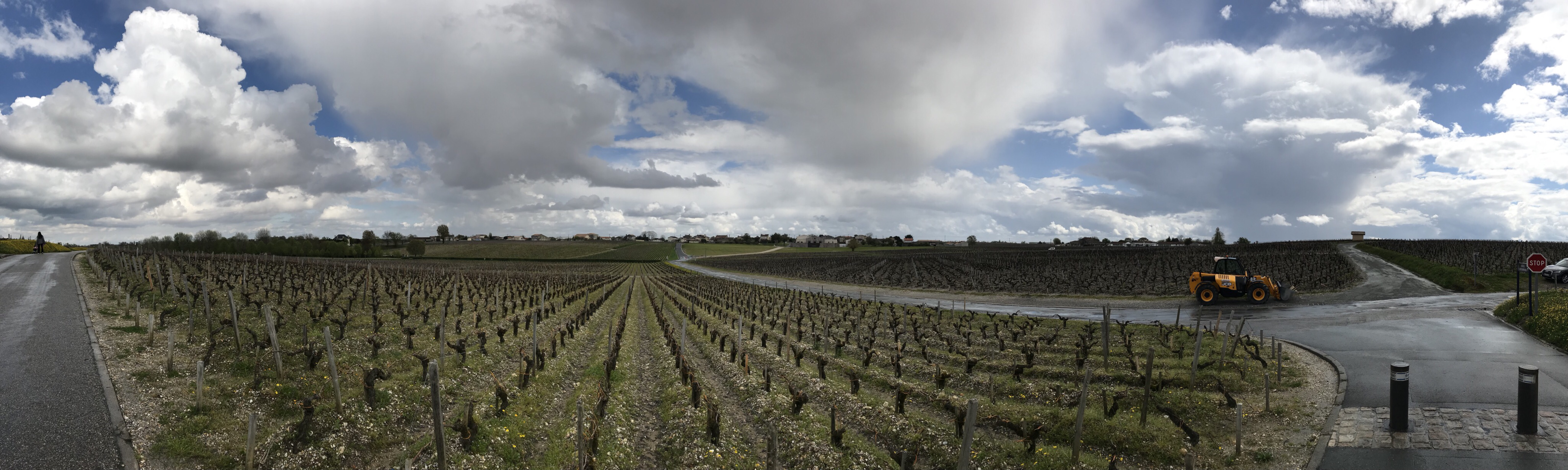 Chateau Latour