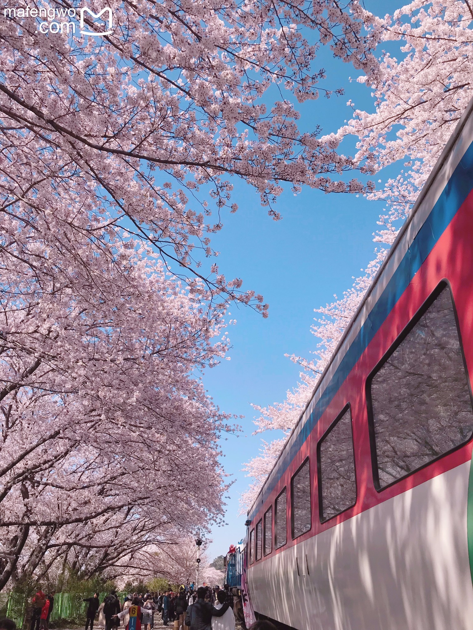 釜山自助遊攻略