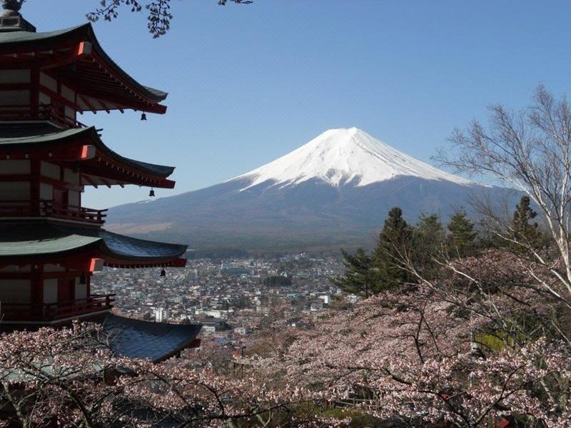 迈克尔的富士山旅馆 Mt Fuji Hostel Michael's