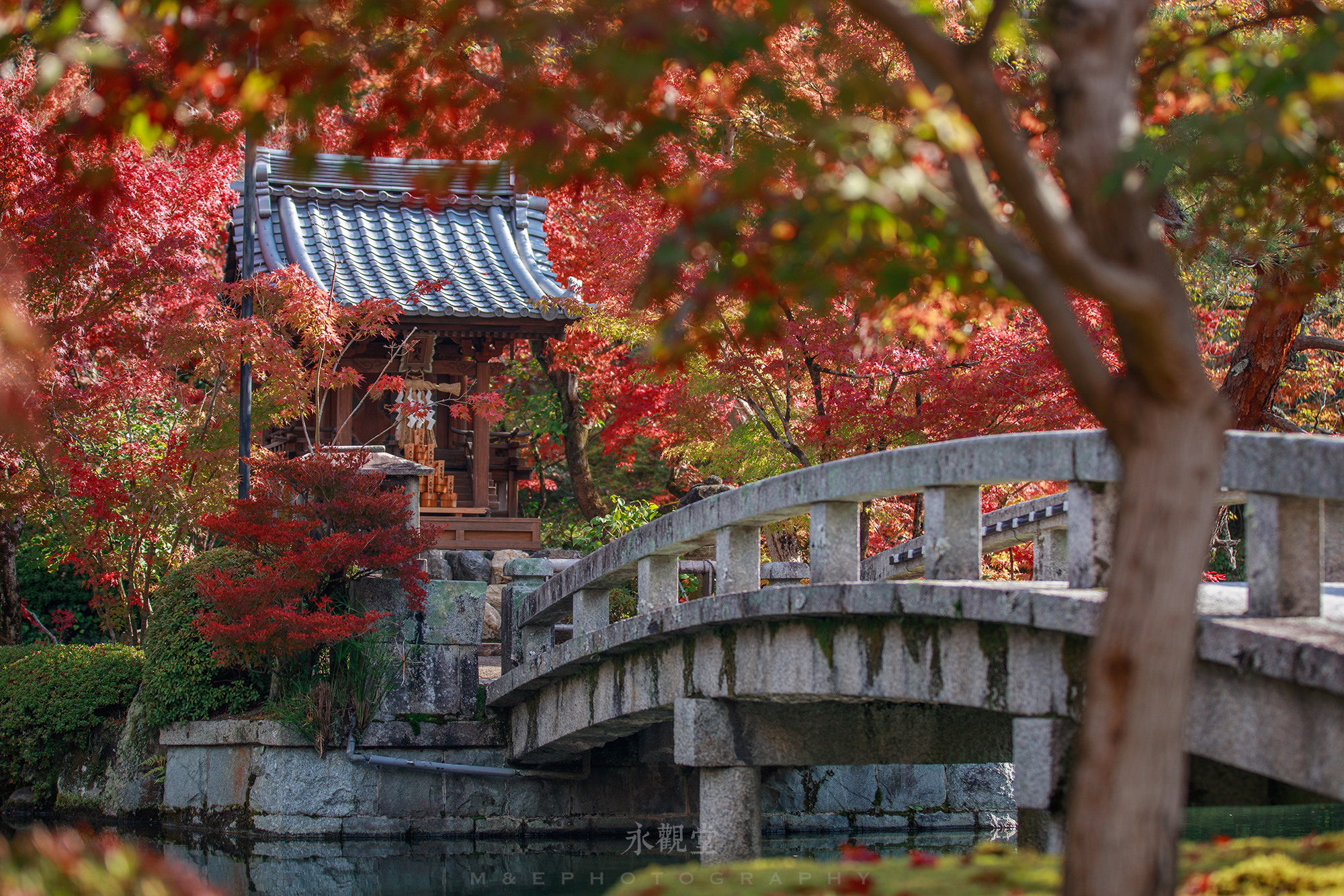 京都自助遊攻略