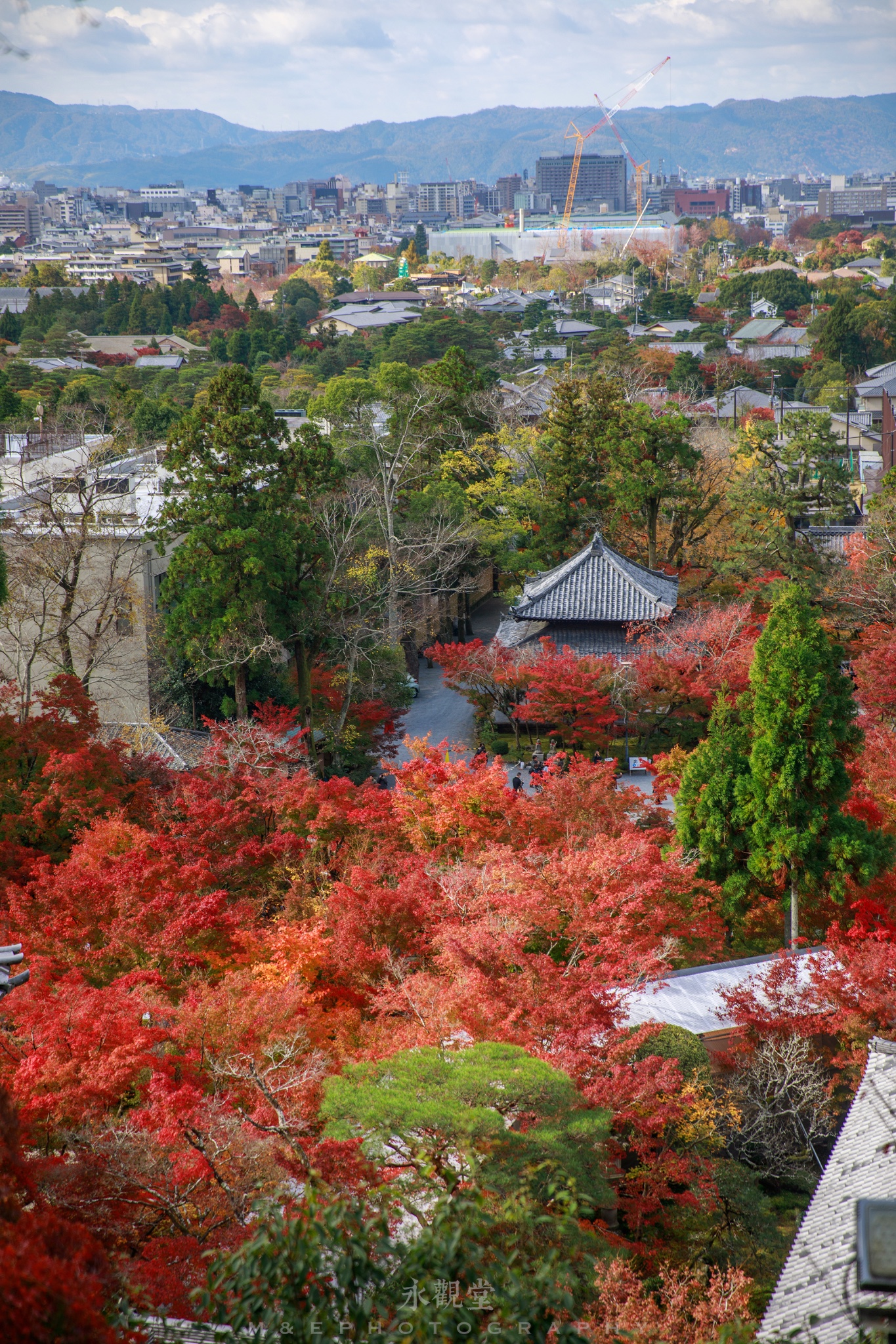 京都自助遊攻略