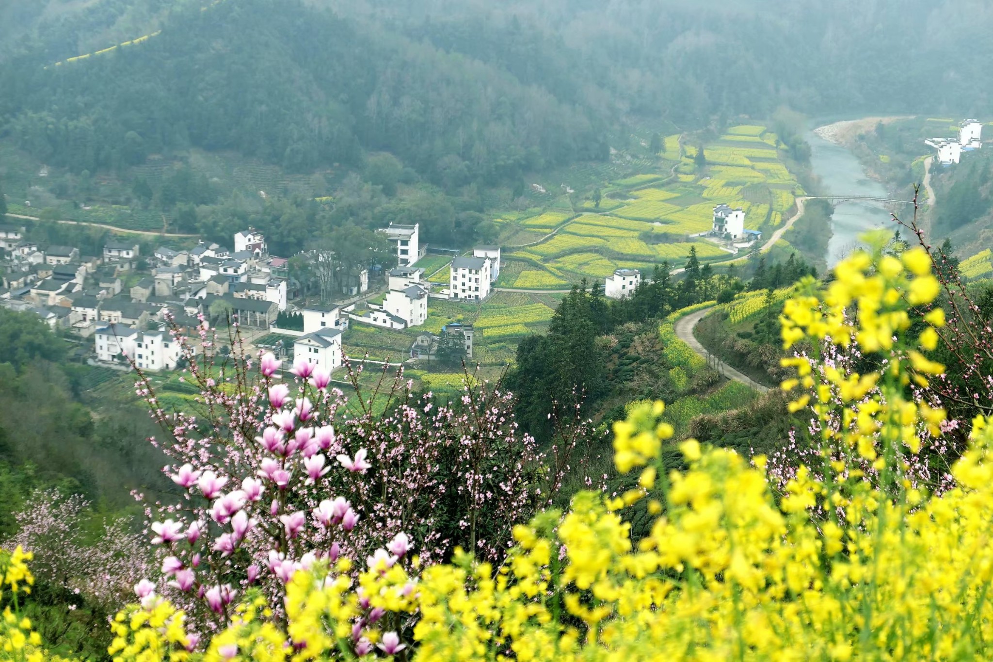 石潭油菜花_游记