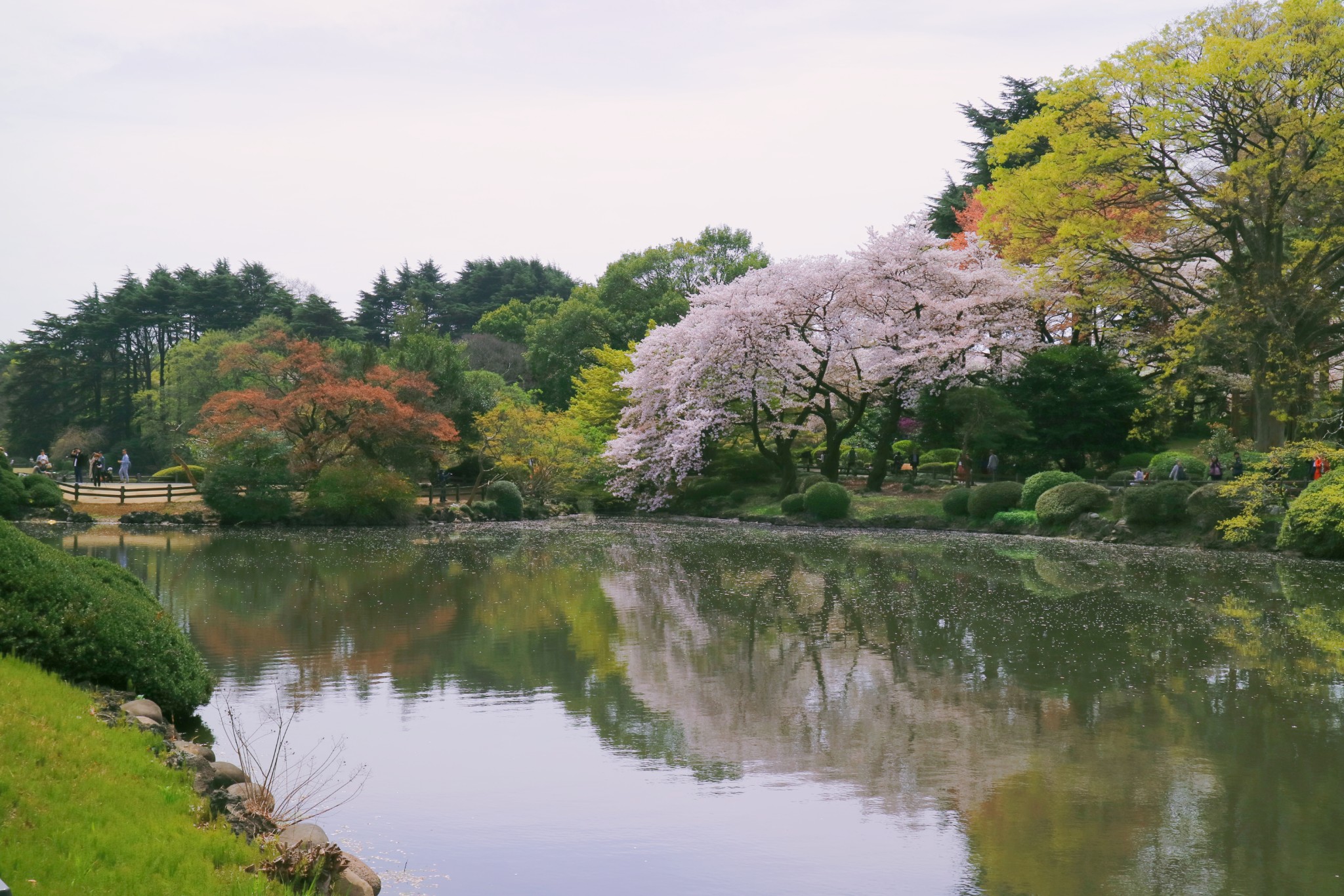 東京自助遊攻略