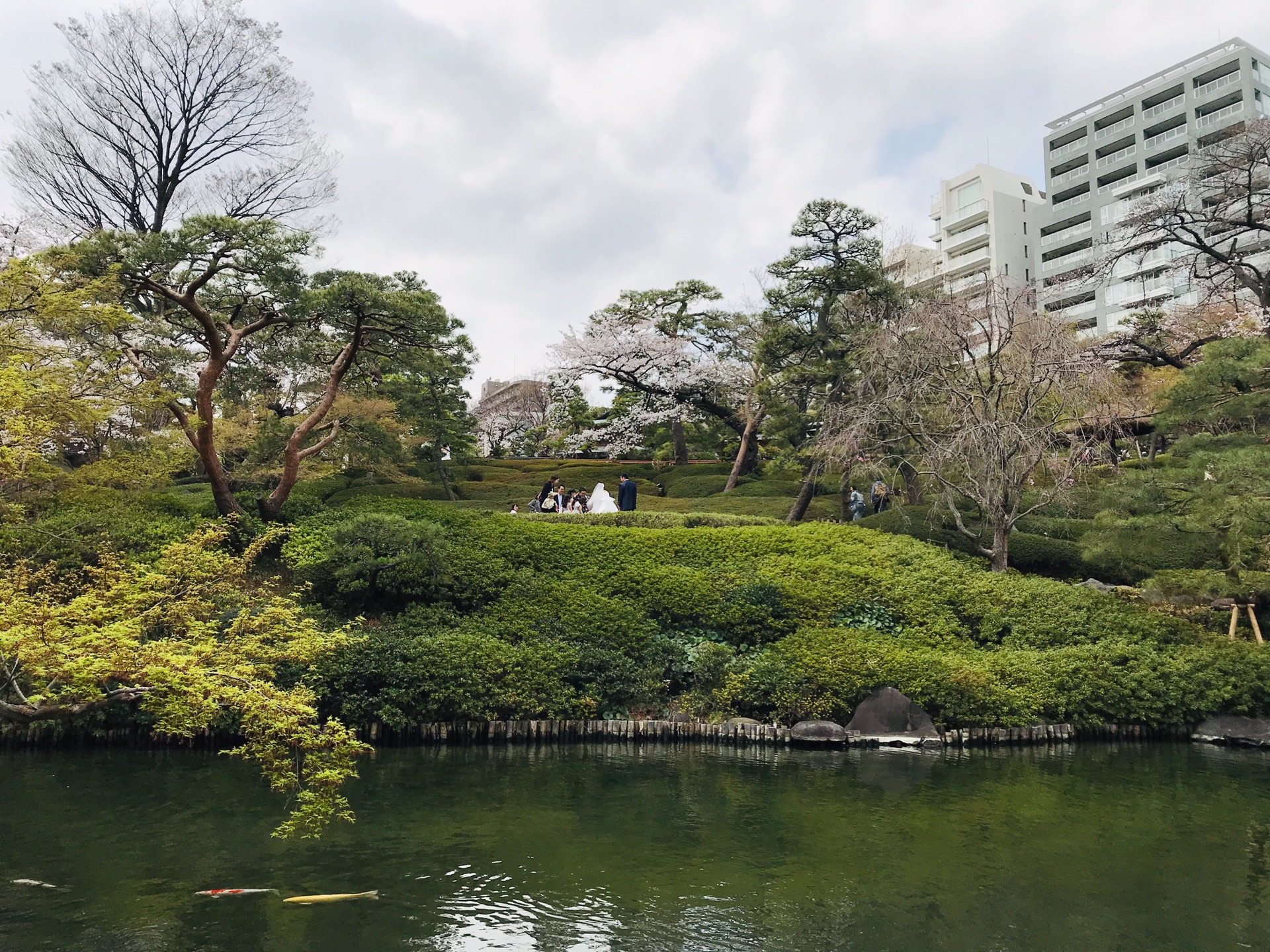 東京自助遊攻略