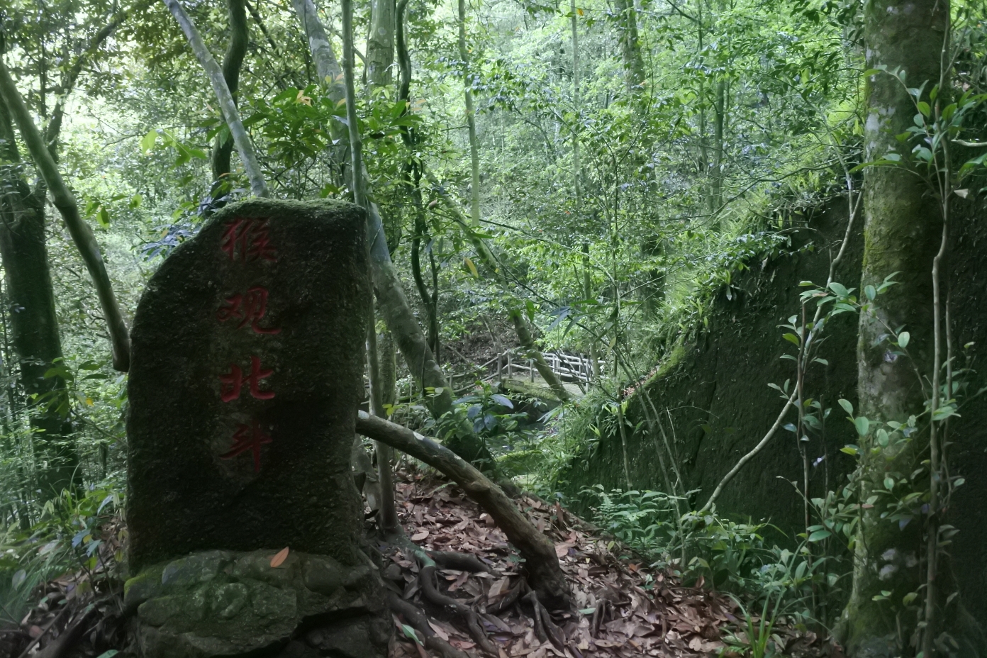 十八寨,武夷山旅游攻略 马蜂窝