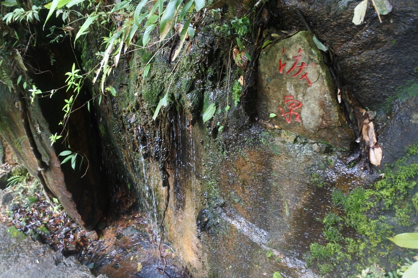 十八寨,武夷山旅游攻略 马蜂窝